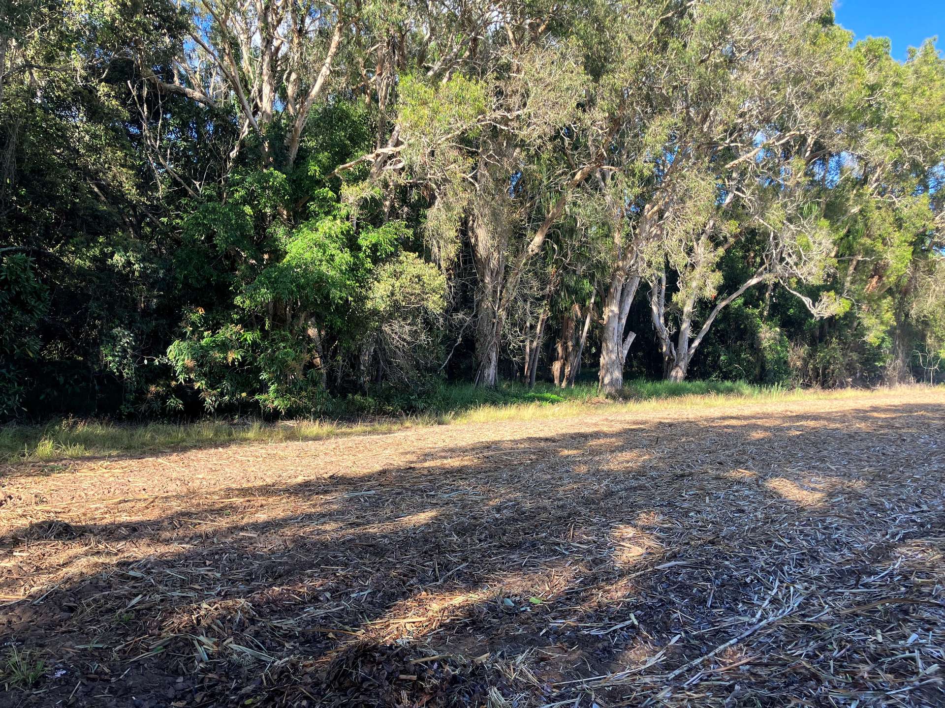 Lot 1 Lorne Road, Walkerston For Sale by Farmbuy.com - image 5