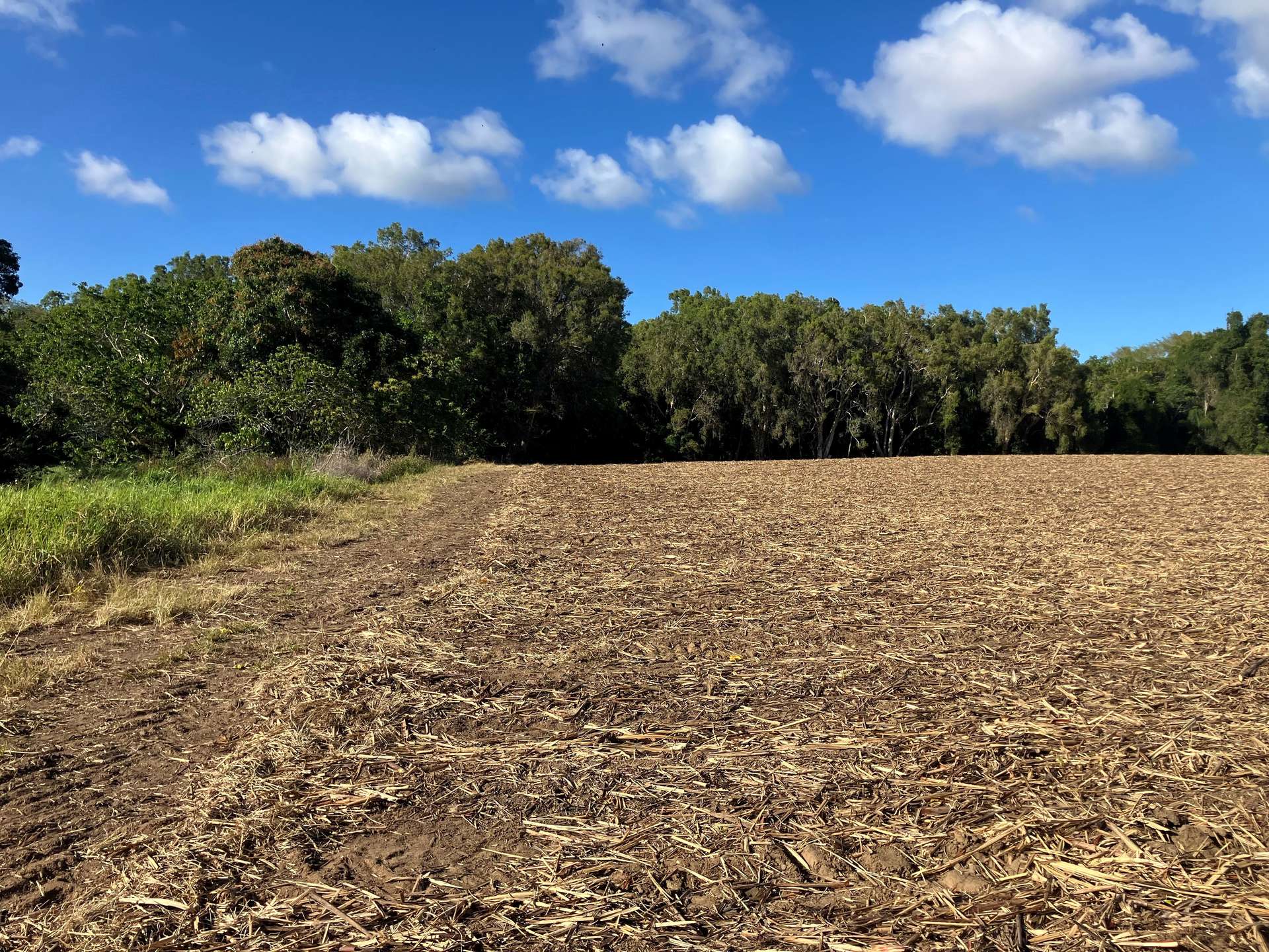 Lot 1 Lorne Road, Walkerston For Sale by Farmbuy.com - image 3