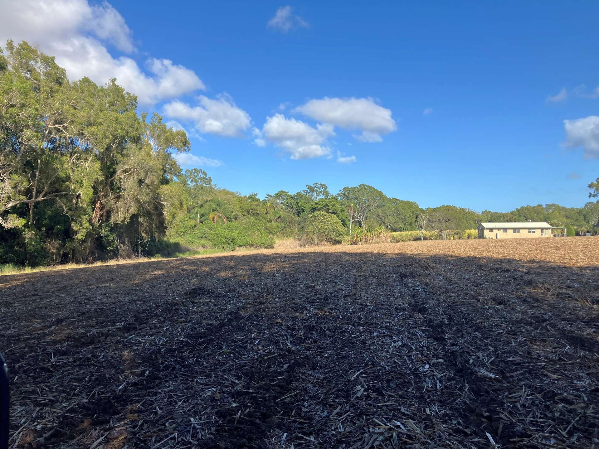 Lot 1 Lorne Road, Walkerston For Sale by Farmbuy.com - image 6
