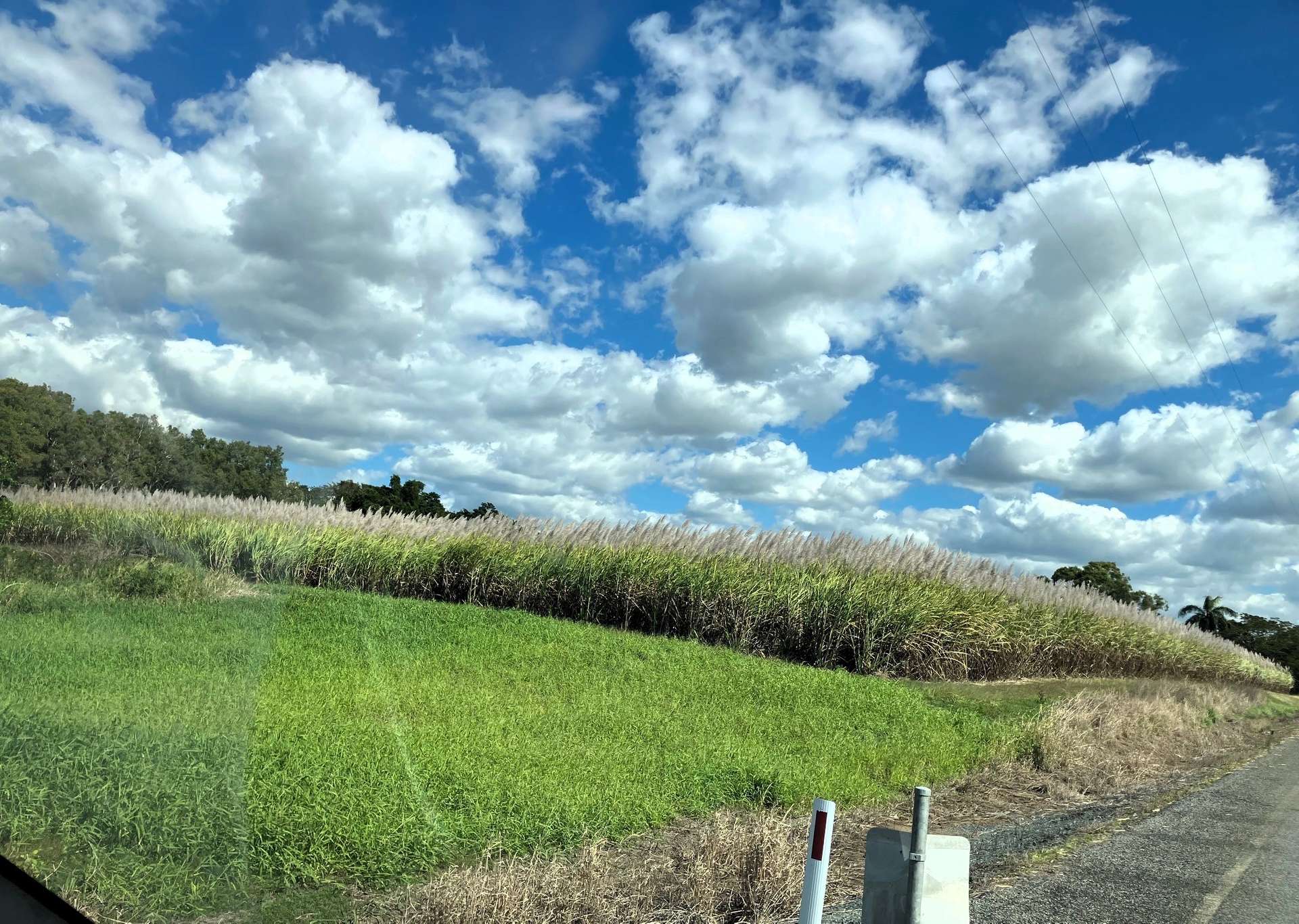 Lot 1 Lorne Road, Walkerston For Sale by Farmbuy.com - image 3
