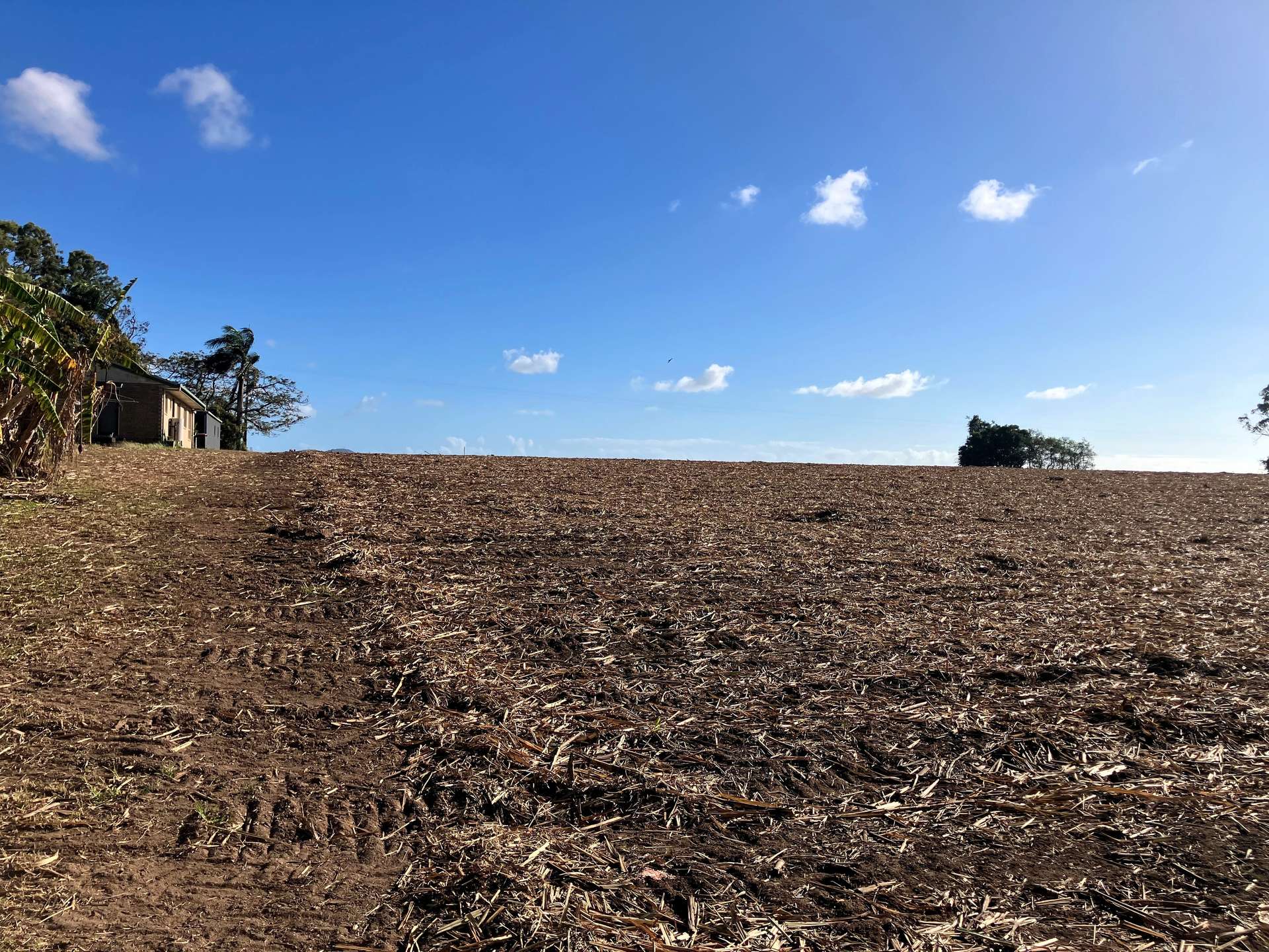 Lot 1 Lorne Road, Walkerston For Sale by Farmbuy.com - image 7