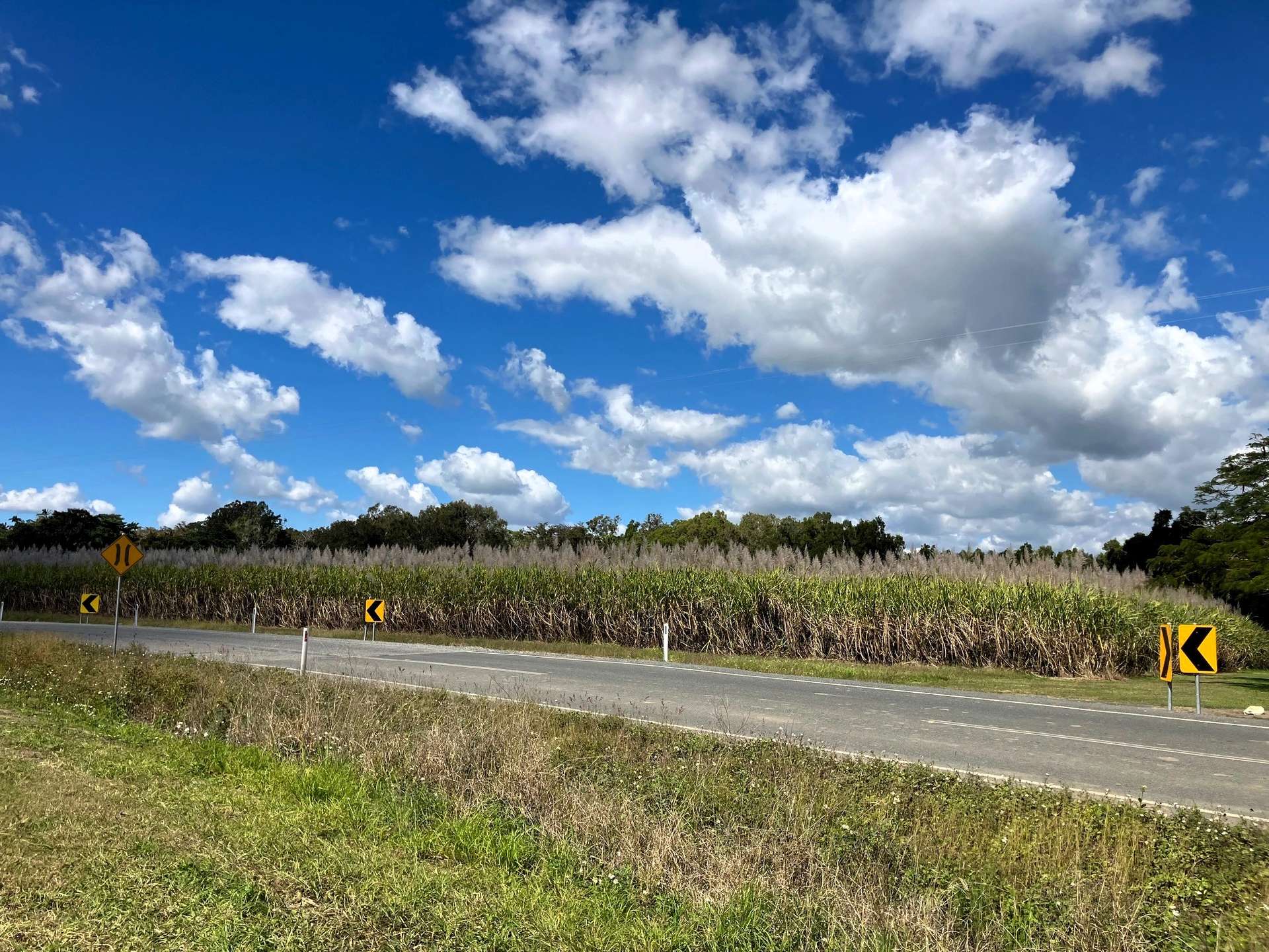 Lot 1 Lorne Road, Walkerston For Sale by Farmbuy.com - image 4