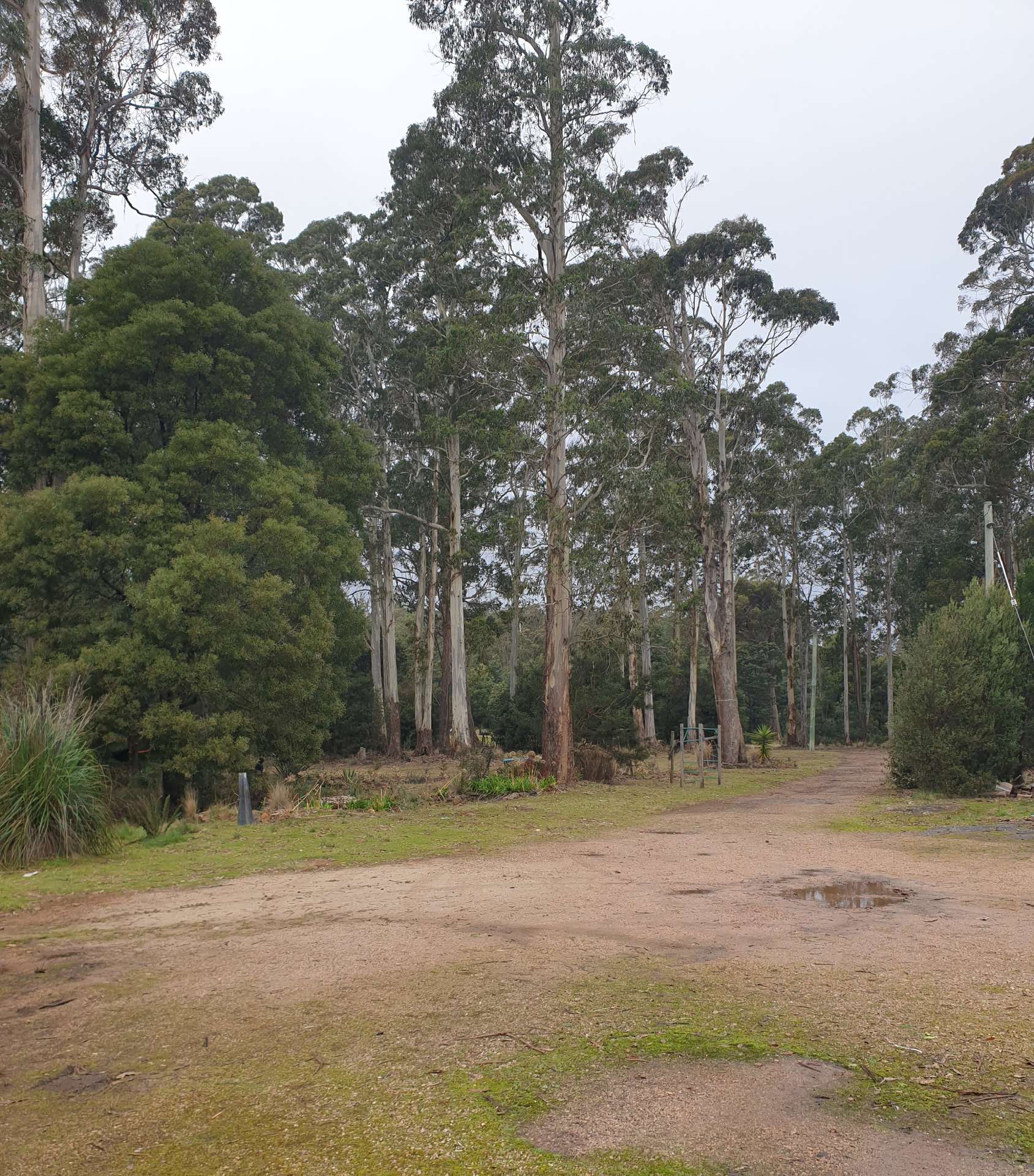147 Morgan Road, Nook For Sale by Farmbuy.com - image 11