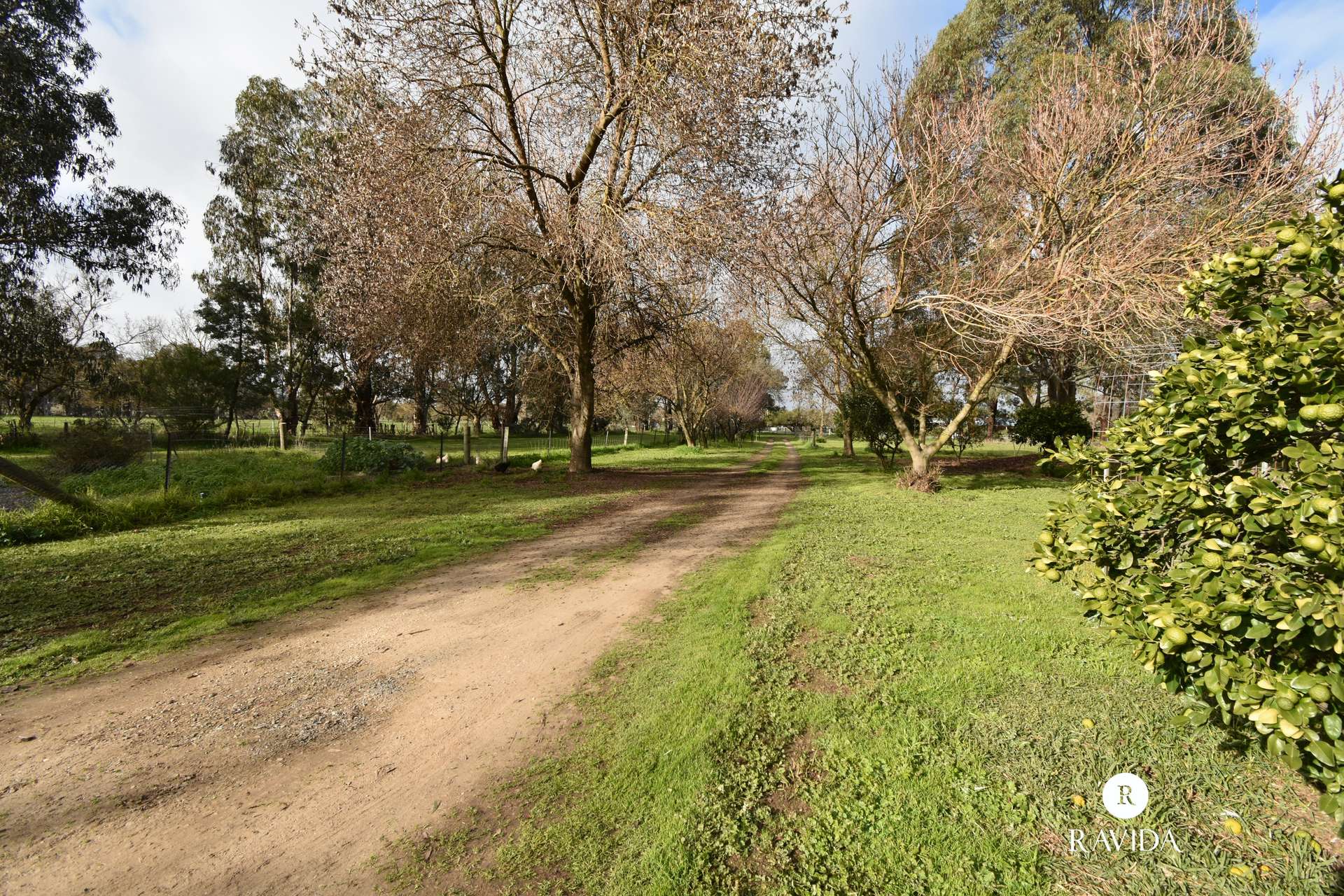 86 MARKWOOD-TARRAWINGEE ROAD, Markwood For Sale by Farmbuy.com - image 22