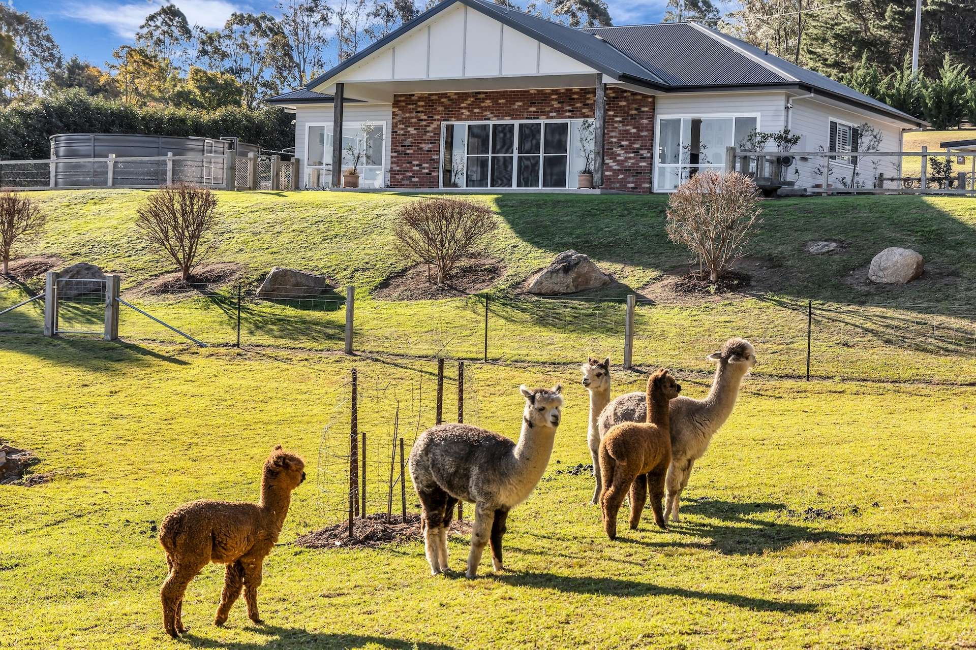 Merimbula For Sale by Farmbuy.com - image 35