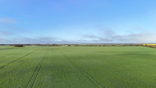 Farm For Sale - SA - Kielpa - 5642 - Quality Eyre Peninsula Cropping Opportunity 