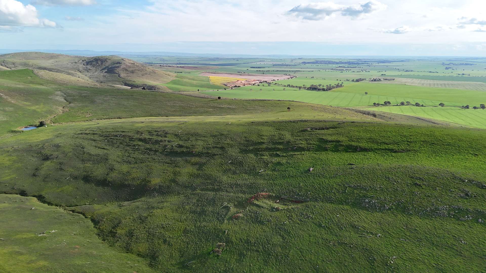 'Pratts' Allotments 876 & 878 Humphris Road, West Bundaleer For Sale by Farmbuy.com - image 2