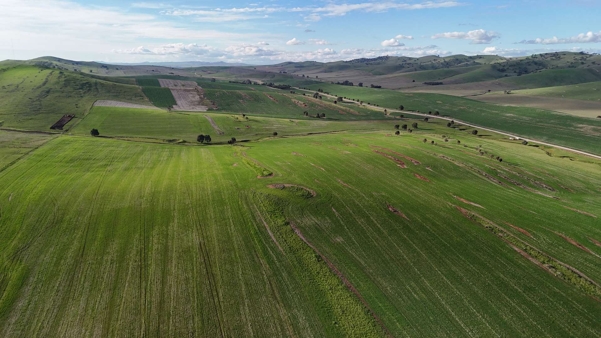 'Pratts' Allotments 876 & 878 Humphris Road, West Bundaleer For Sale by Farmbuy.com - image 6