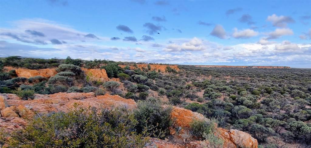 Barrambie Station&sol;1 Meekatharra-Sandstone Road, Sandstone WA 6639