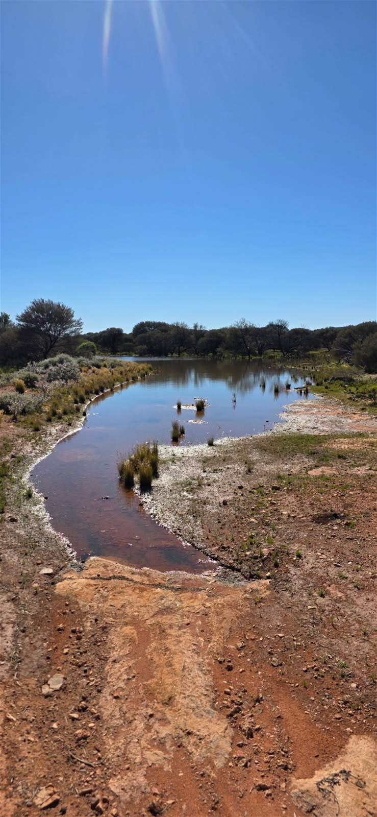 Barrambie Station/1 Meekatharra-Sandstone Road, Sandstone For Sale by Farmbuy.com - image 27