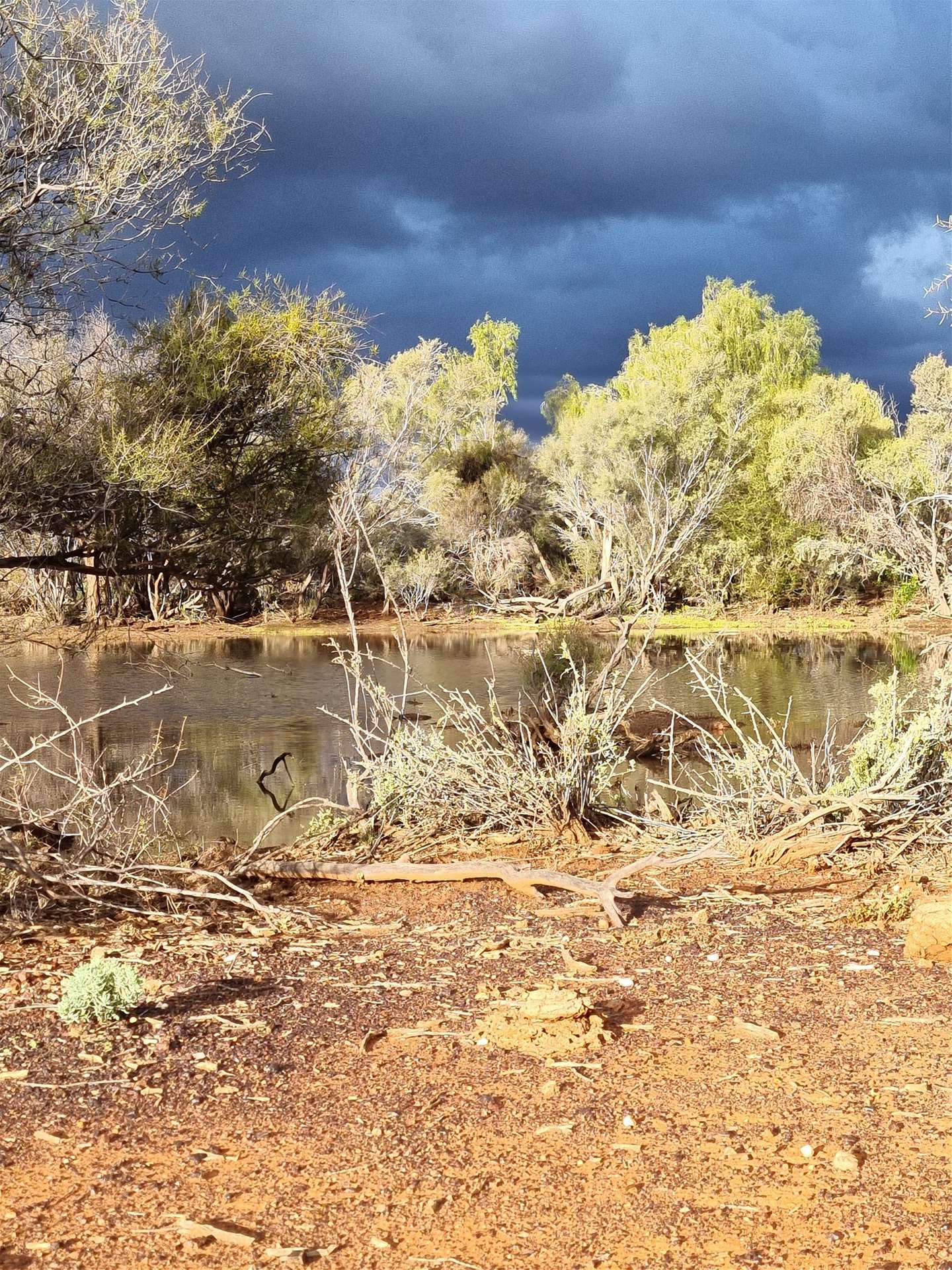 Barrambie Station/1 Meekatharra-Sandstone Road, Sandstone For Sale by Farmbuy.com - image 14