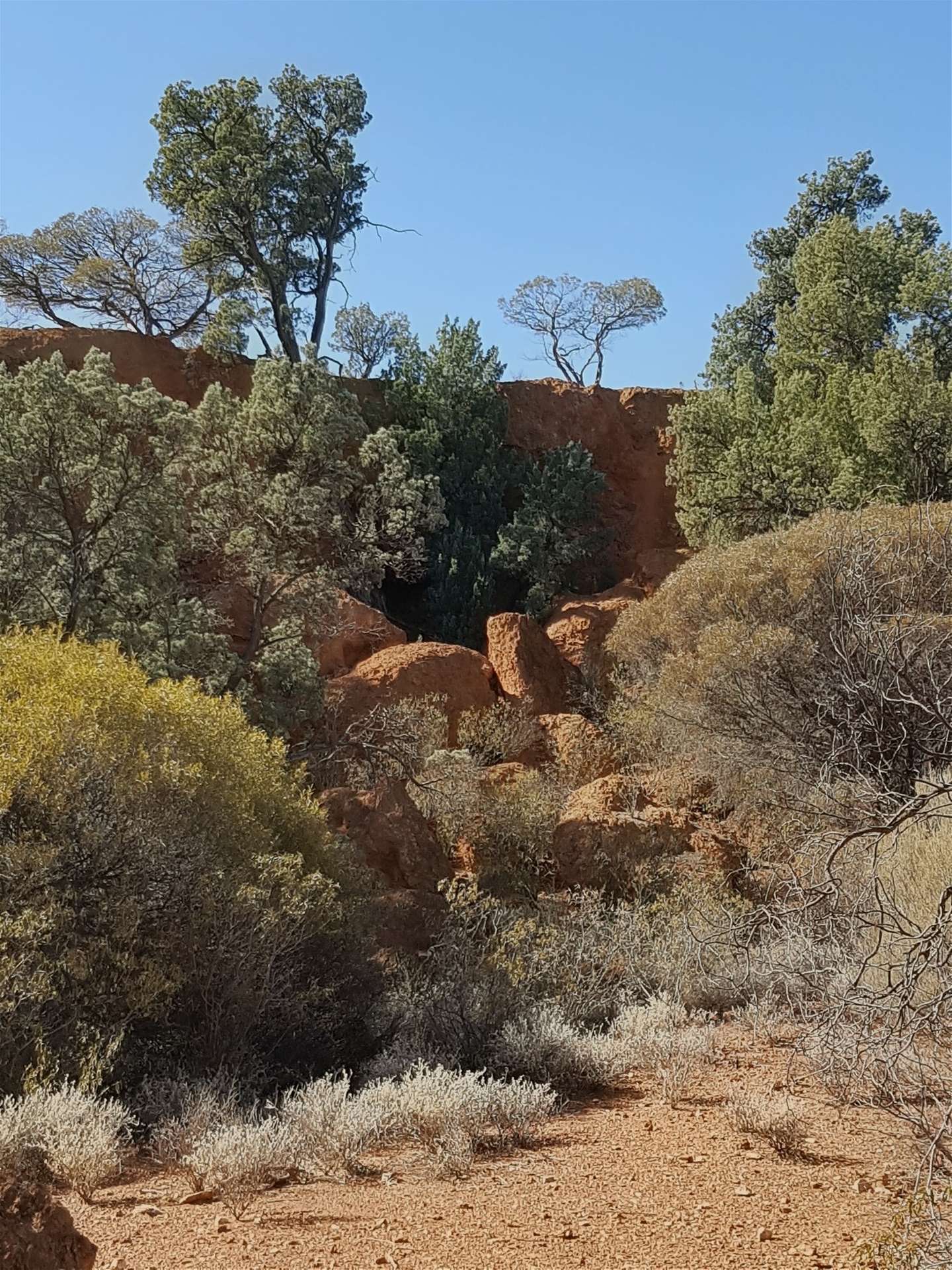Barrambie Station/1 Meekatharra-Sandstone Road, Sandstone For Sale by Farmbuy.com - image 29