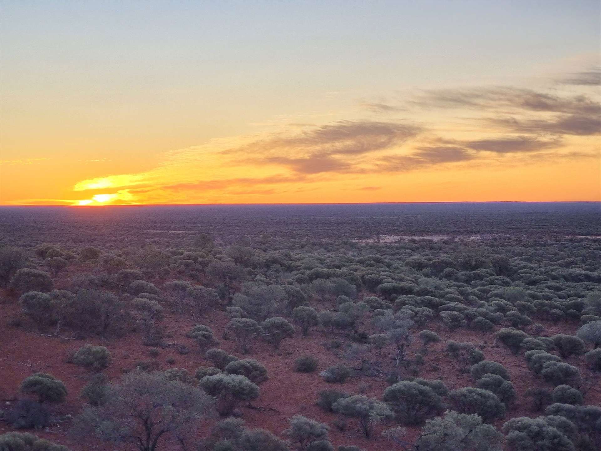 Barrambie Station/1 Meekatharra-Sandstone Road, Sandstone For Sale by Farmbuy.com - image 8