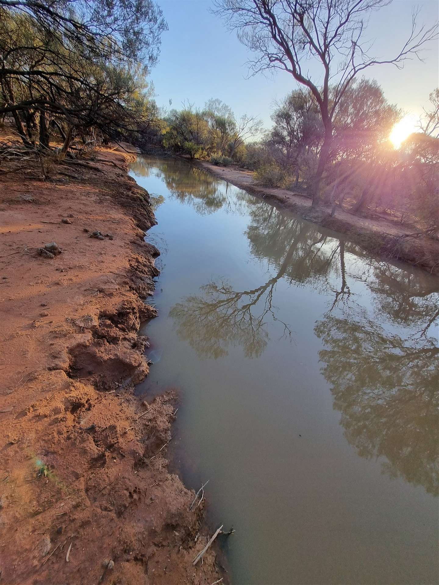 Barrambie Station/1 Meekatharra-Sandstone Road, Sandstone For Sale by Farmbuy.com - image 13