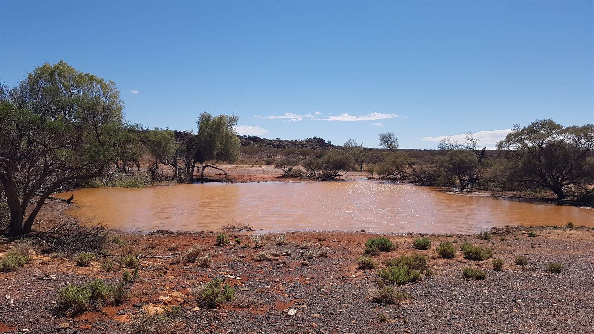 Barrambie Station/1 Meekatharra-Sandstone Road, Sandstone For Sale by Farmbuy.com - image 12