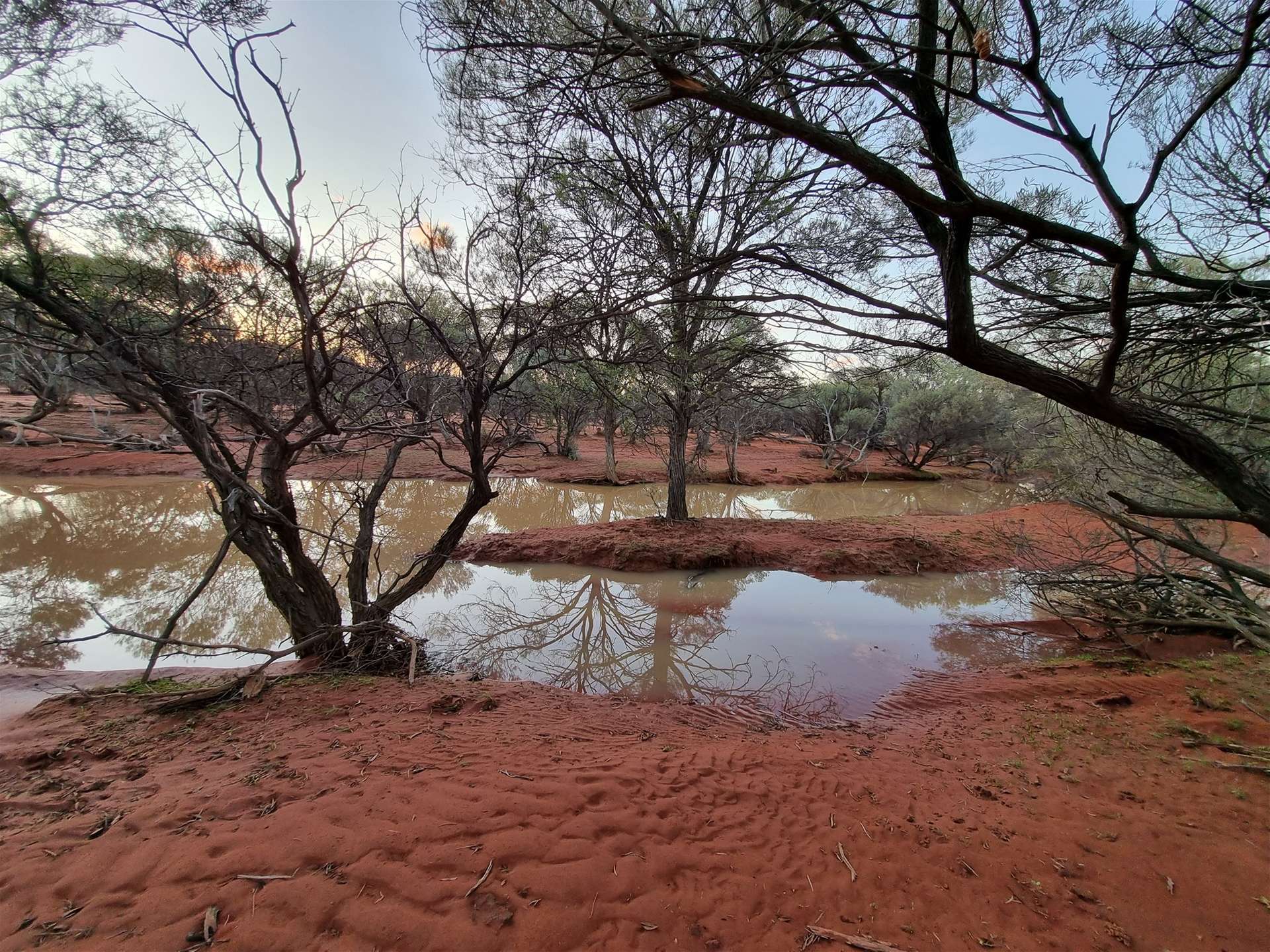 Barrambie Station/1 Meekatharra-Sandstone Road, Sandstone For Sale by Farmbuy.com - image 25