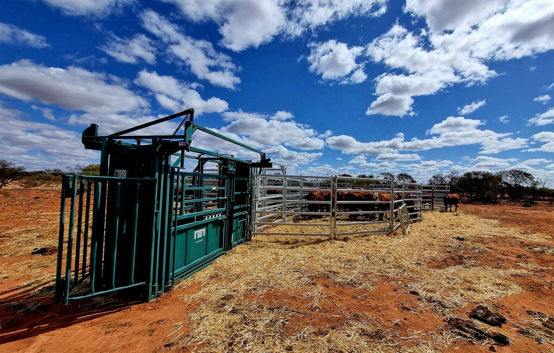 Barrambie Station/1 Meekatharra-Sandstone Road, Sandstone For Sale by Farmbuy.com - image 17