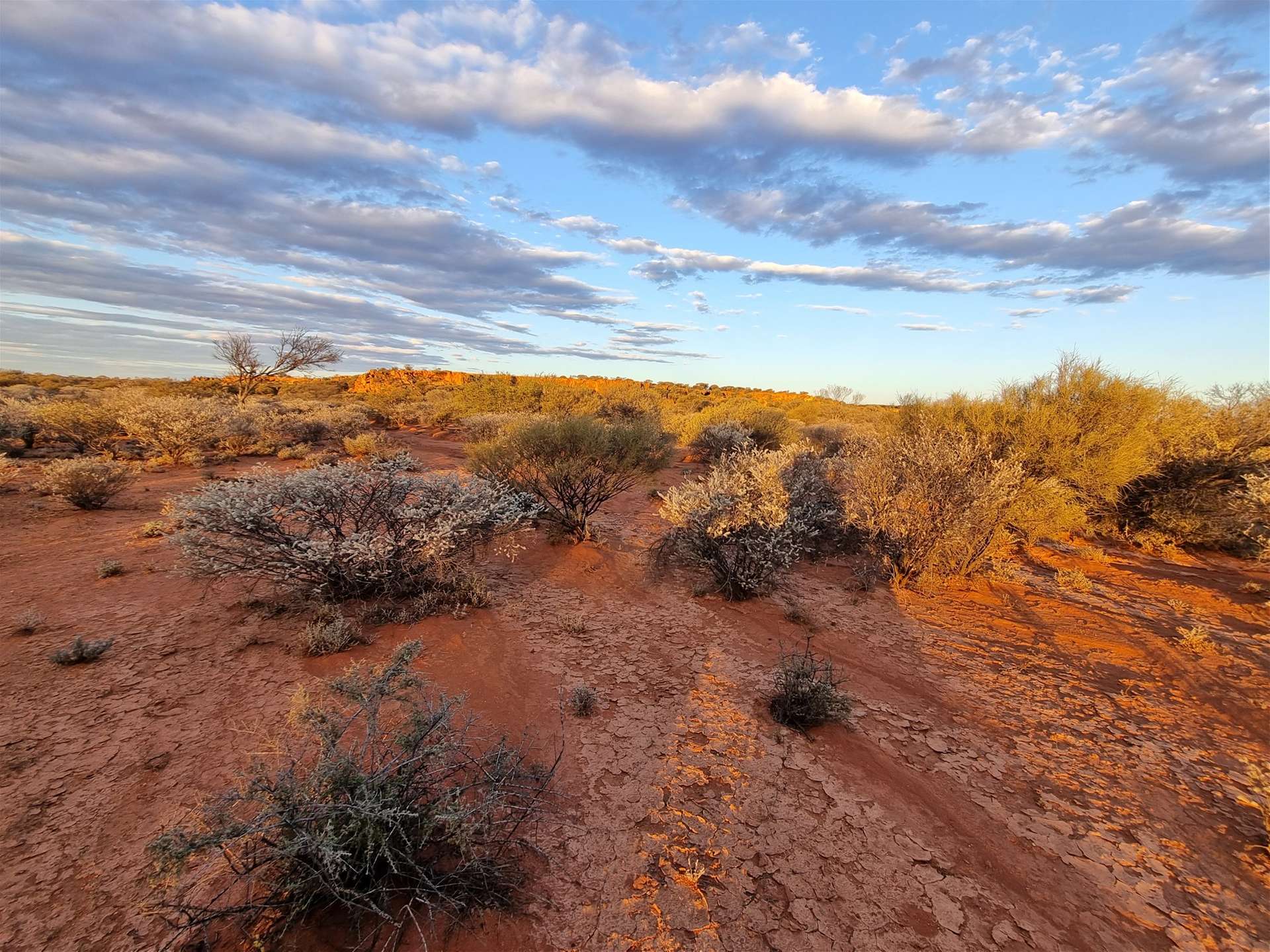 Barrambie Station/1 Meekatharra-Sandstone Road, Sandstone For Sale by Farmbuy.com - image 28