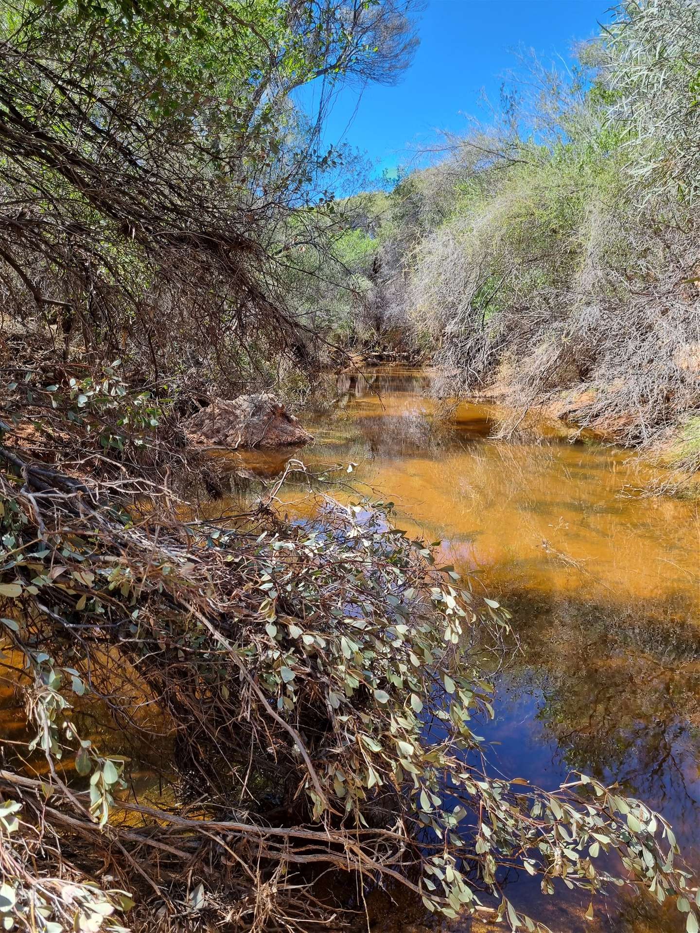 Barrambie Station/1 Meekatharra-Sandstone Road, Sandstone For Sale by Farmbuy.com - image 26