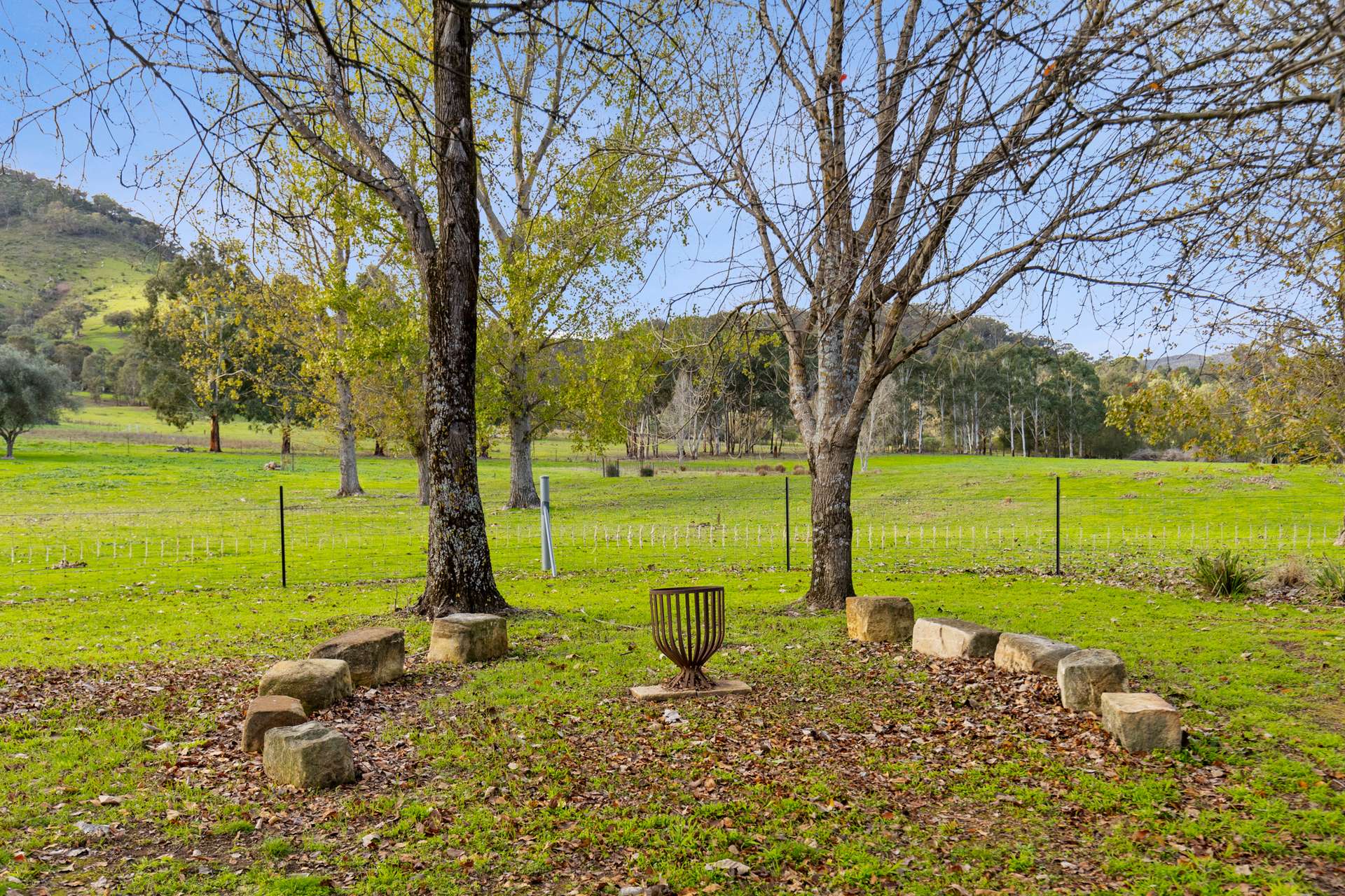 290 Riverlea Road, Mudgee For Sale by Farmbuy.com - image 26