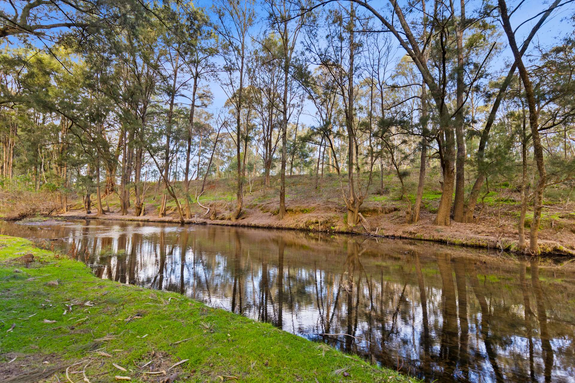 290 Riverlea Road, Mudgee For Sale by Farmbuy.com - image 2
