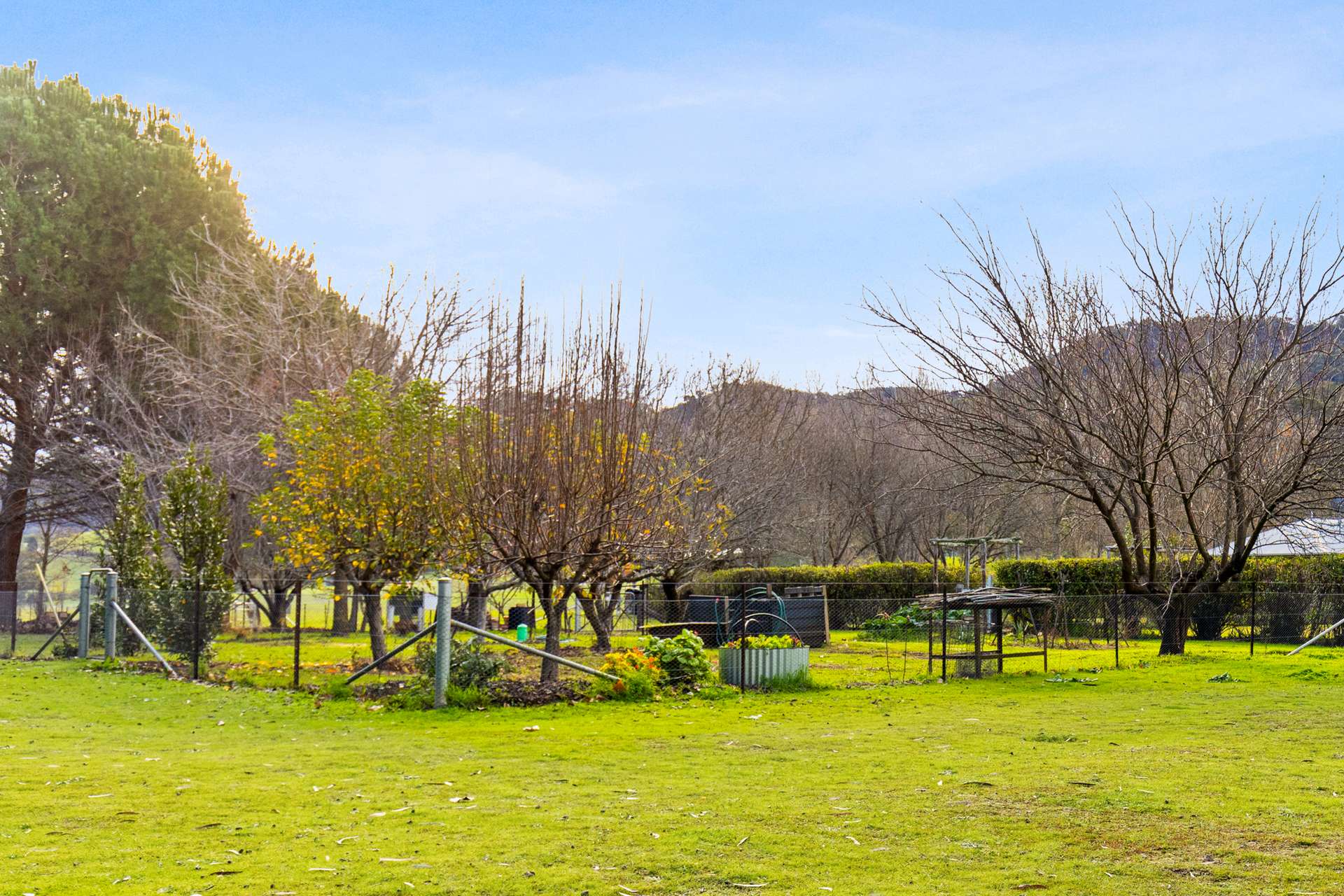 290 Riverlea Road, Mudgee For Sale by Farmbuy.com - image 25
