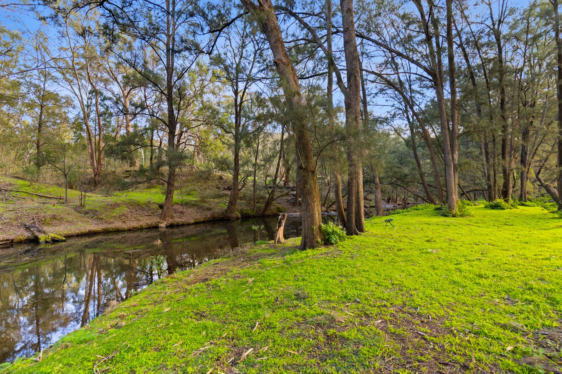 290 Riverlea Road, Mudgee For Sale by Farmbuy.com - image 4