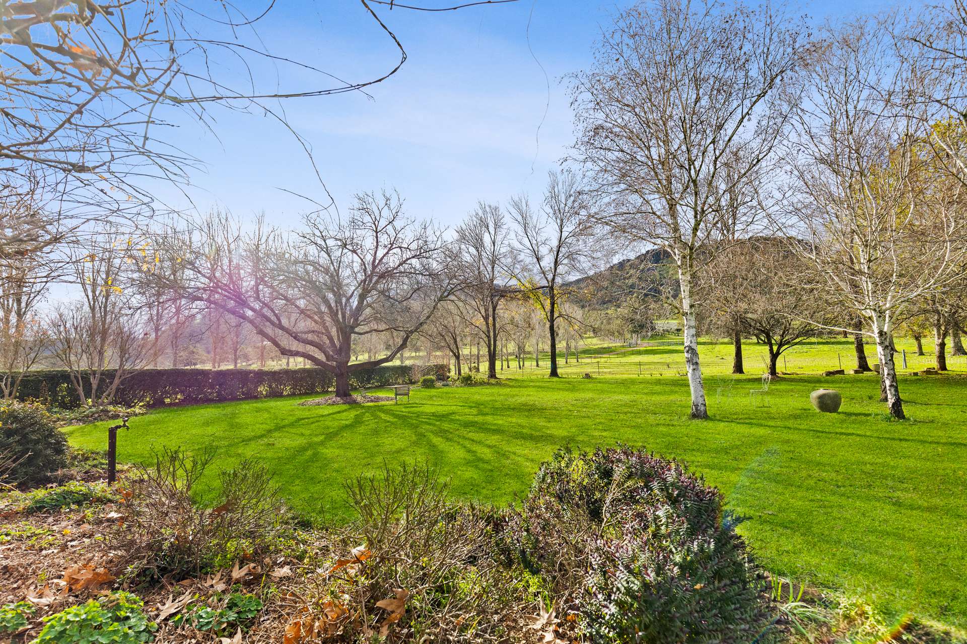 290 Riverlea Road, Mudgee For Sale by Farmbuy.com - image 29