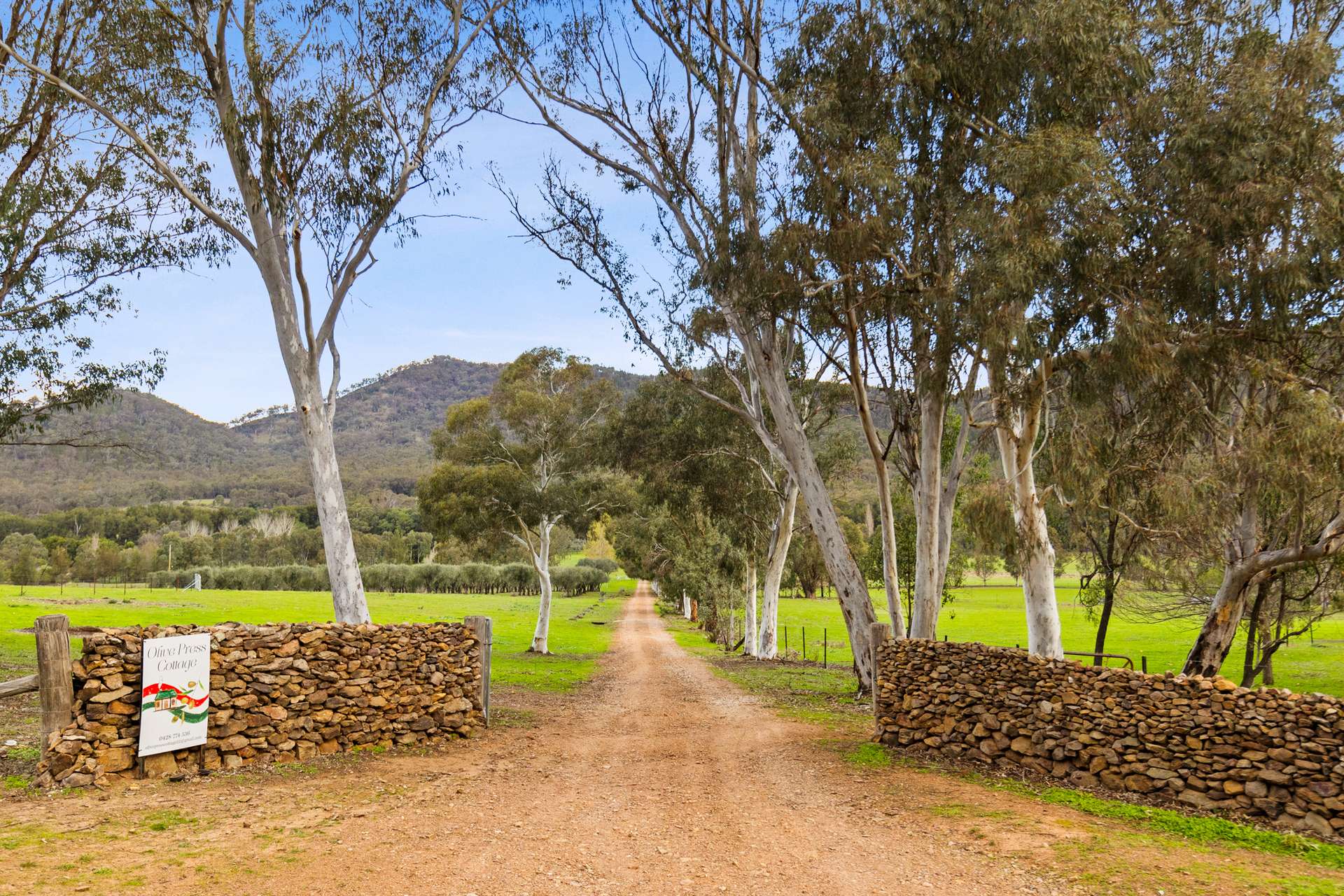 290 Riverlea Road, Mudgee For Sale by Farmbuy.com - image 9