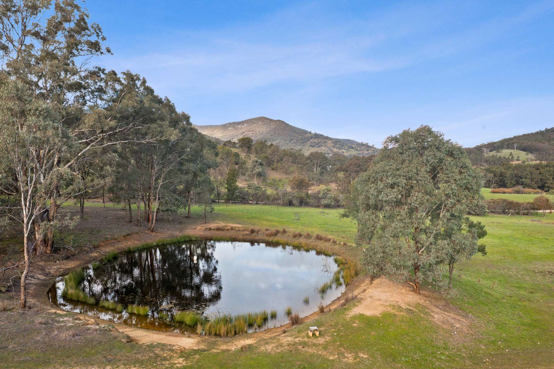 290 Riverlea Road, Mudgee For Sale by Farmbuy.com - image 31
