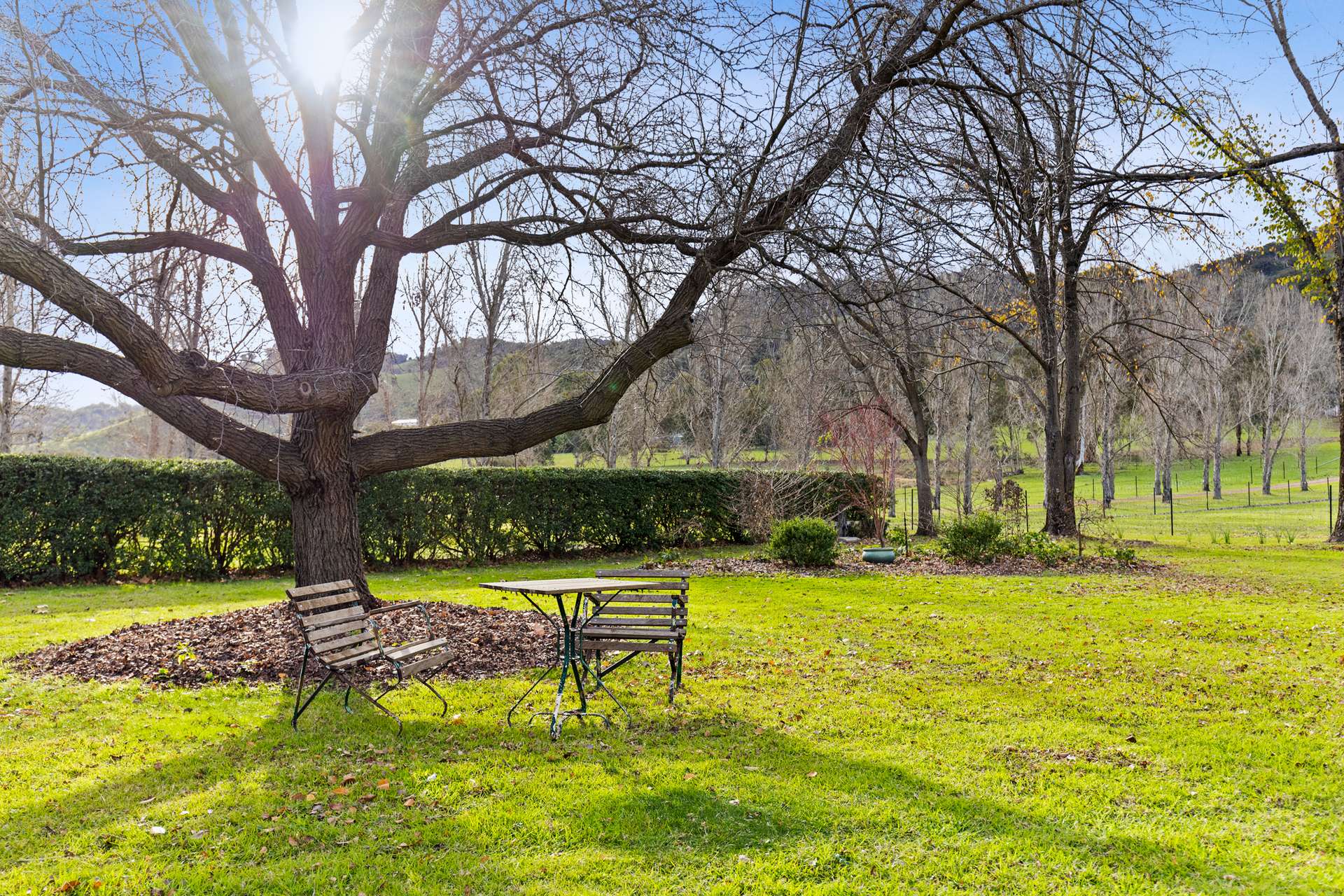 290 Riverlea Road, Mudgee For Sale by Farmbuy.com - image 34