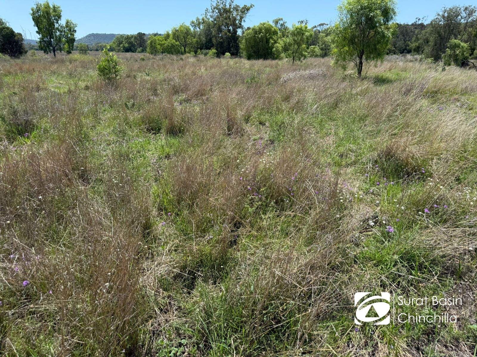 Oklahoma Kingaroy Jandowae Road, Cooranga For Sale by Farmbuy.com - image 19