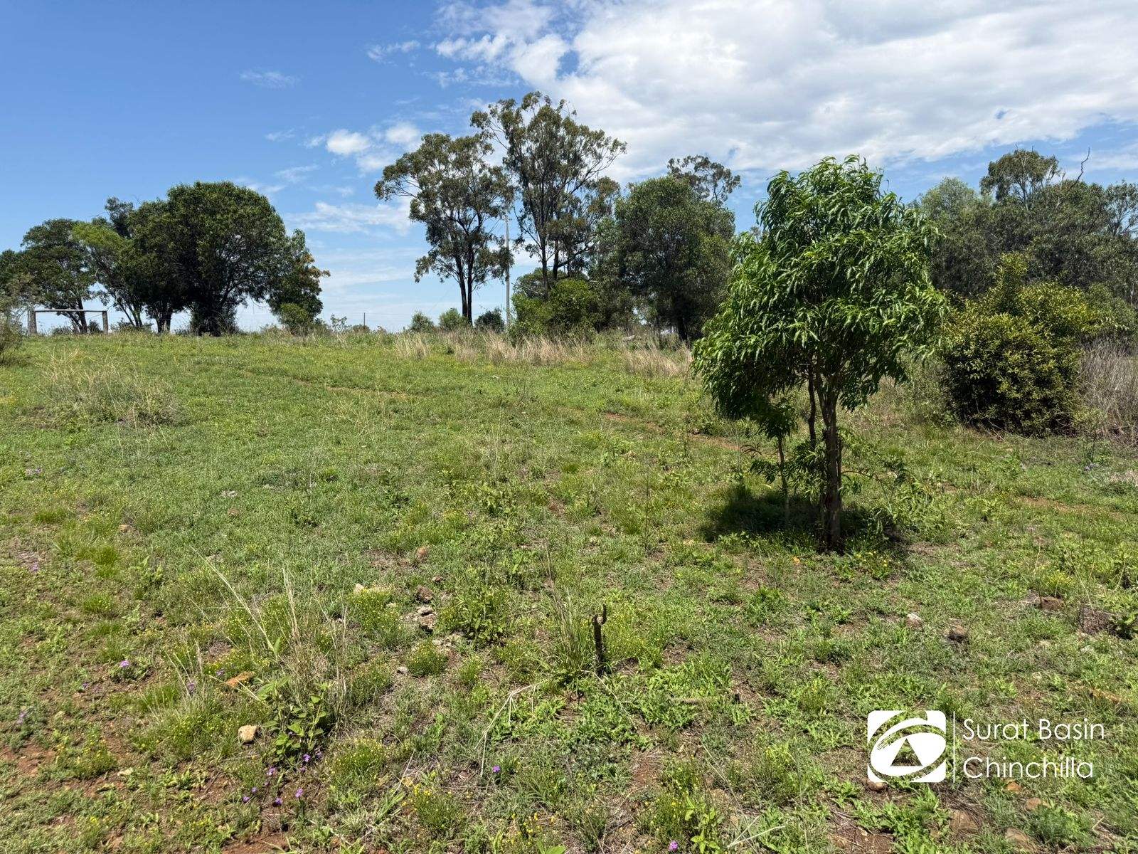 Oklahoma Kingaroy Jandowae Road, Cooranga For Sale by Farmbuy.com - image 2