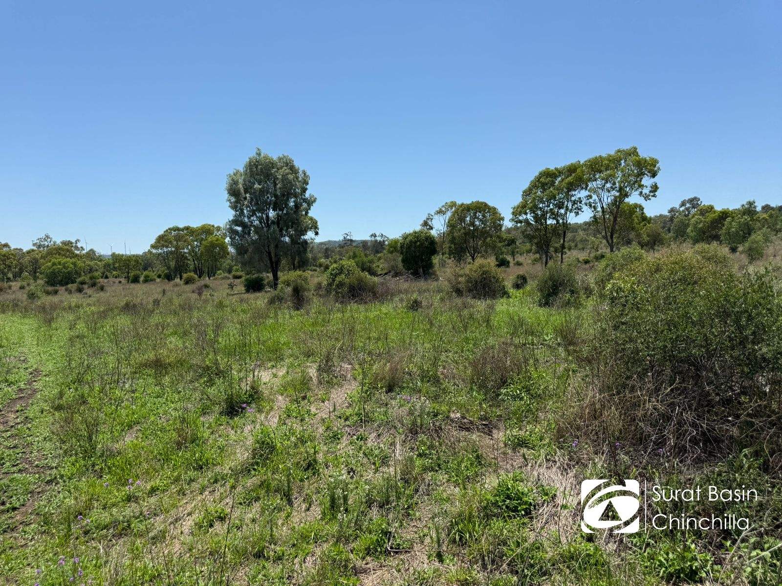 Oklahoma Kingaroy Jandowae Road, Cooranga For Sale by Farmbuy.com - image 18
