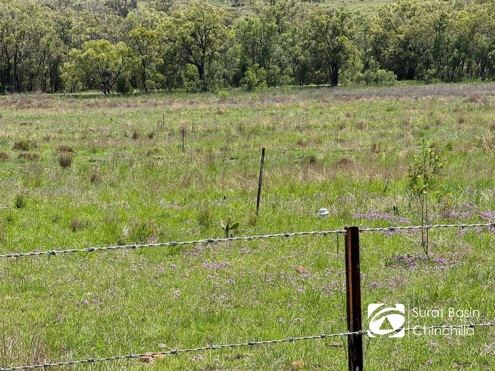 Oklahoma Kingaroy Jandowae Road, Cooranga For Sale by Farmbuy.com - image 6