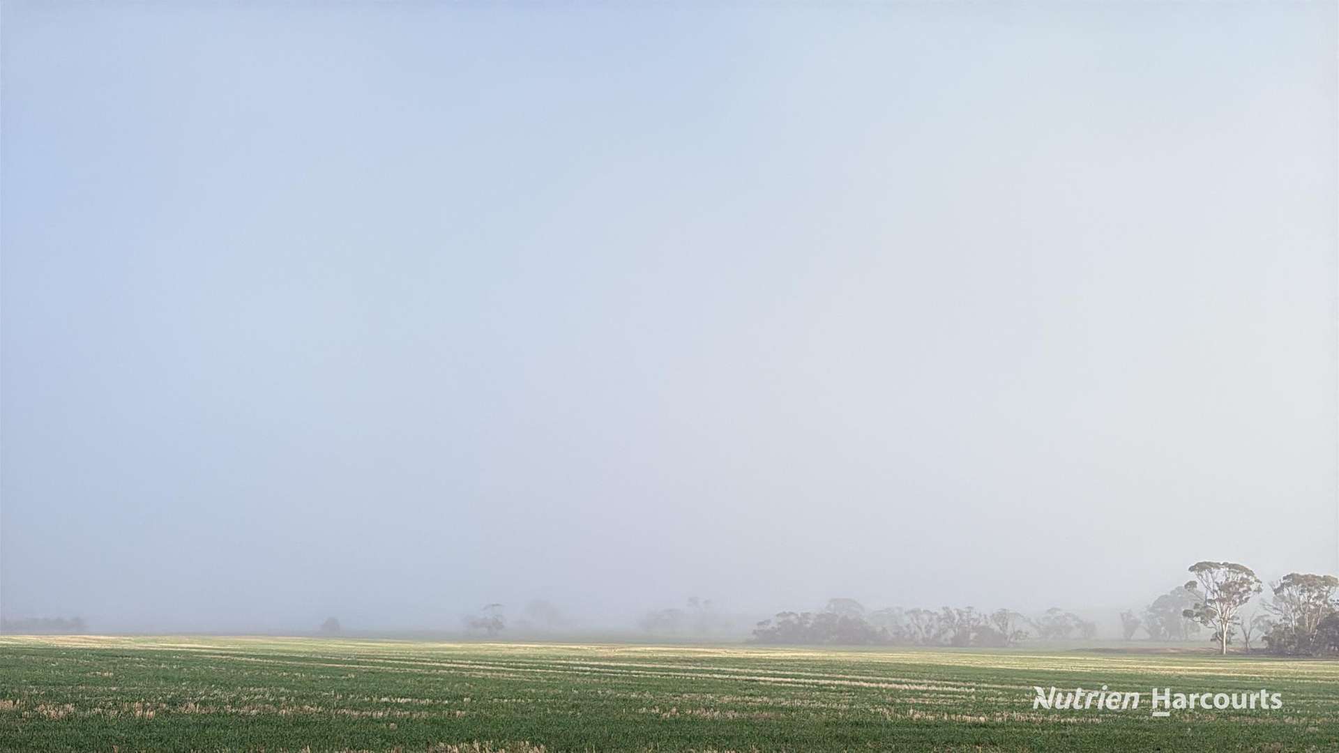 338 Jitarning Road South, Jitarning For Sale by Farmbuy.com - image 15