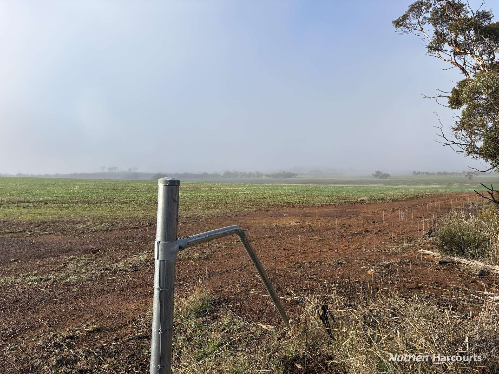 338 Jitarning Road South, Jitarning For Sale by Farmbuy.com - image 22