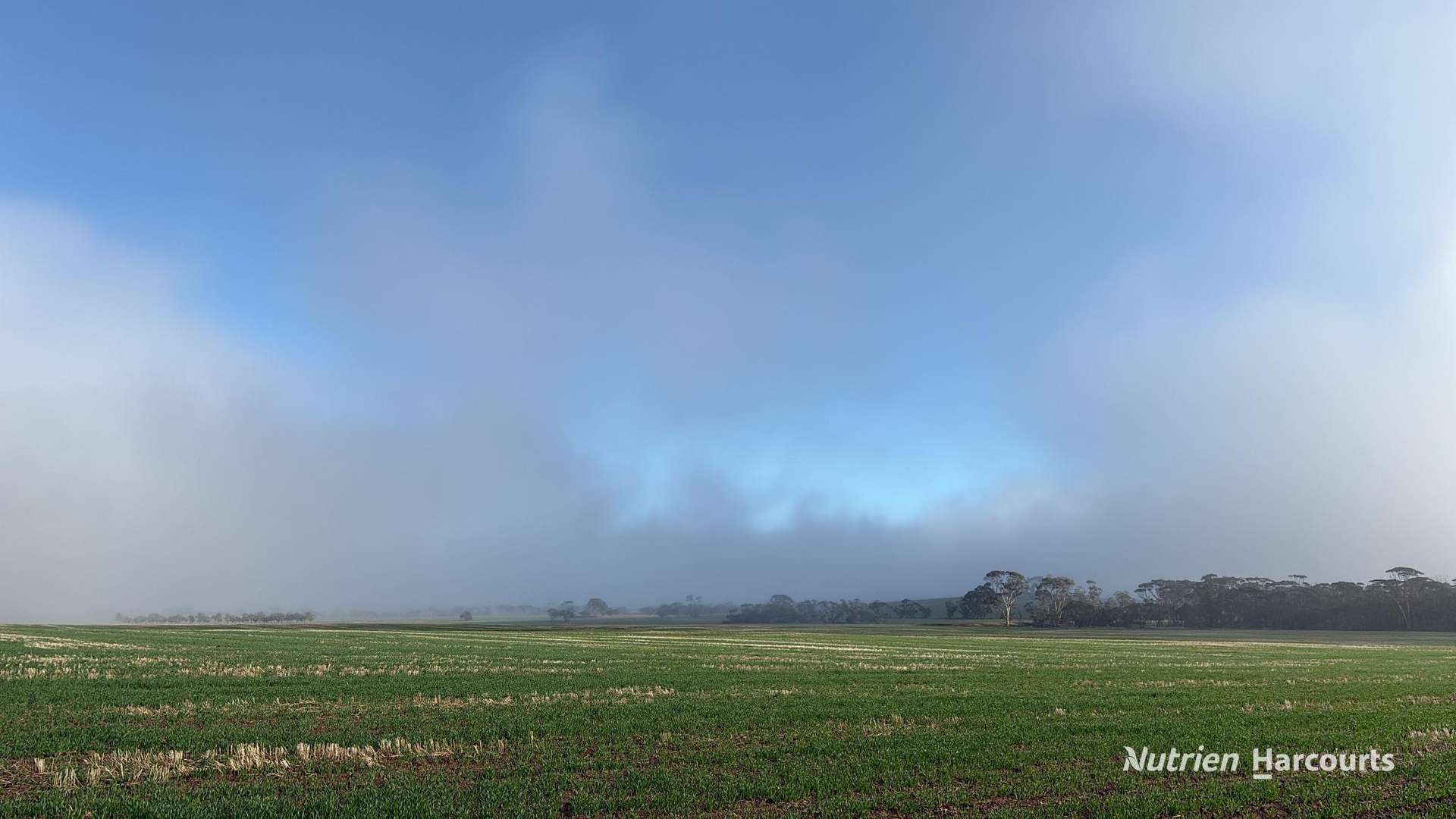 338 Jitarning Road South, Jitarning For Sale by Farmbuy.com - image 3