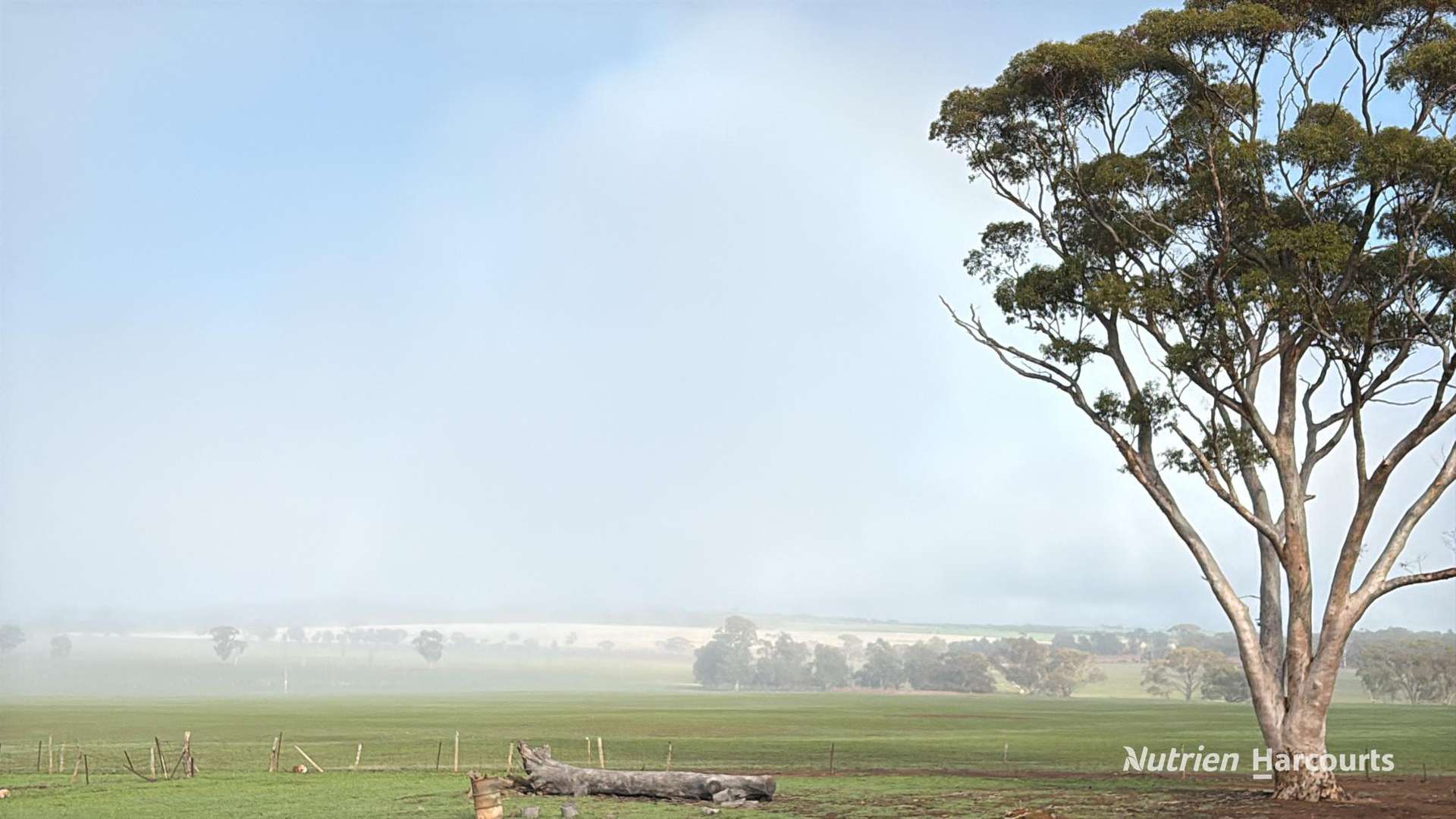 338 Jitarning Road South, Jitarning For Sale by Farmbuy.com - image 19