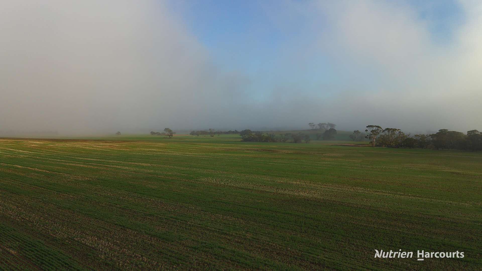 338 Jitarning Road South, Jitarning For Sale by Farmbuy.com - image 16