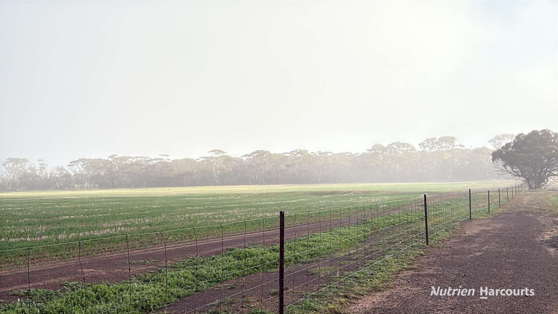338 Jitarning Road South, Jitarning For Sale by Farmbuy.com - image 4