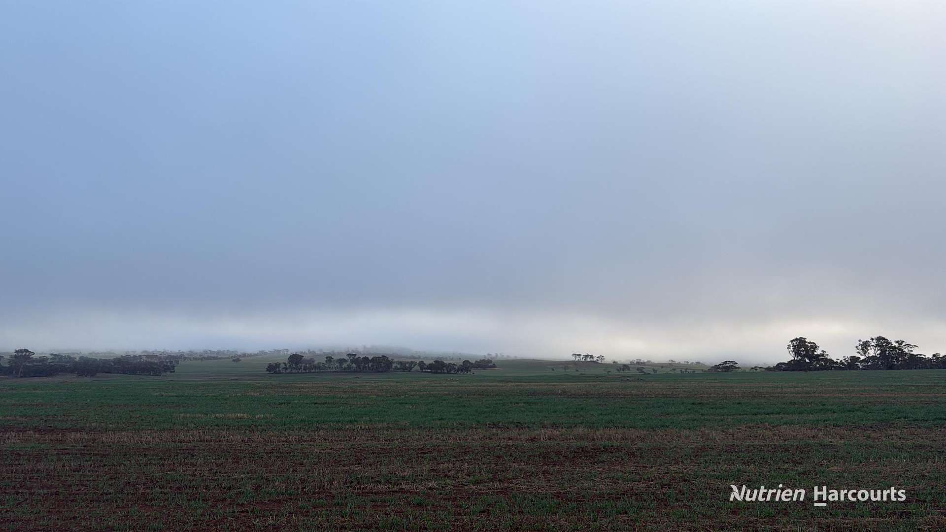 338 Jitarning Road South, Jitarning For Sale by Farmbuy.com - image 18
