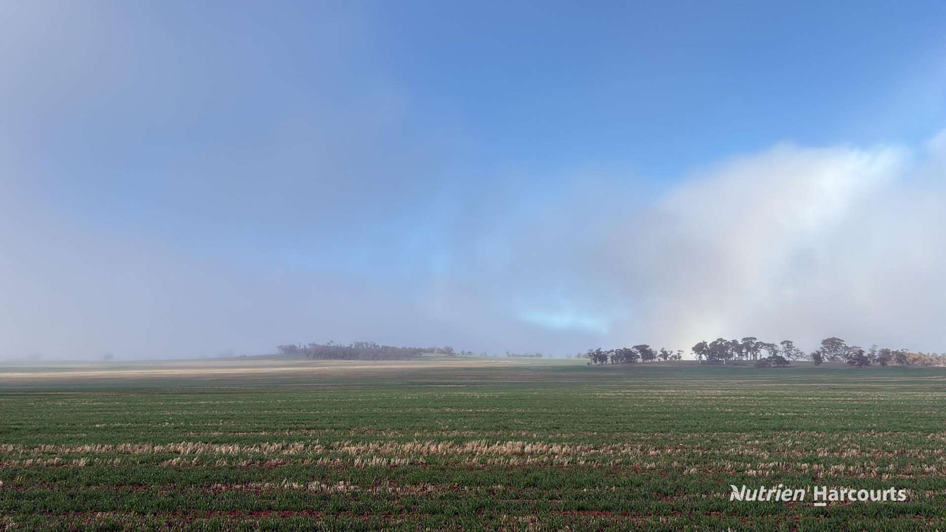 338 Jitarning Road South, Jitarning For Sale by Farmbuy.com - image 8