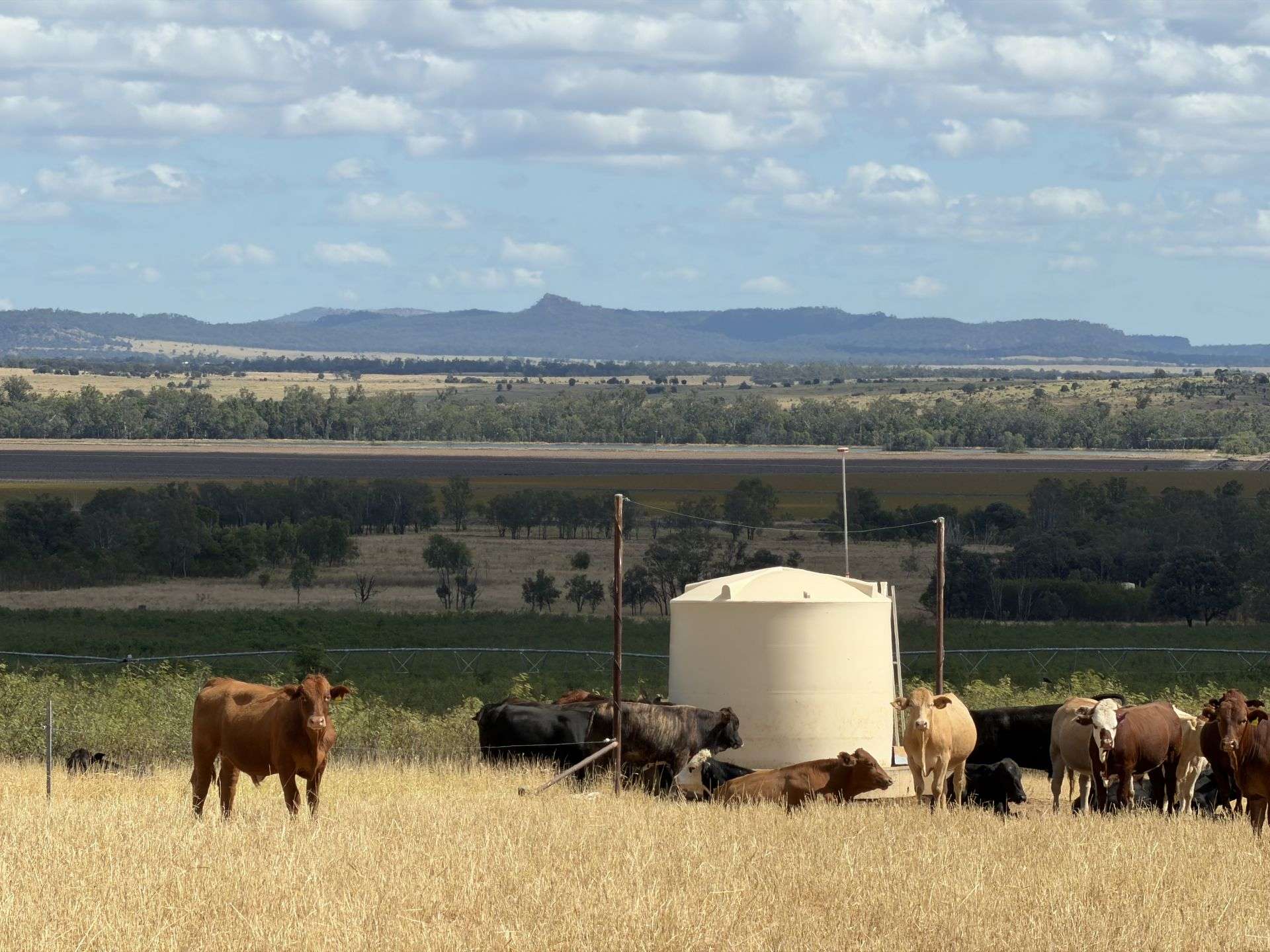 12605 Eidsvold Theodore Road, Camboon Auction by Farmbuy.com - image 8
