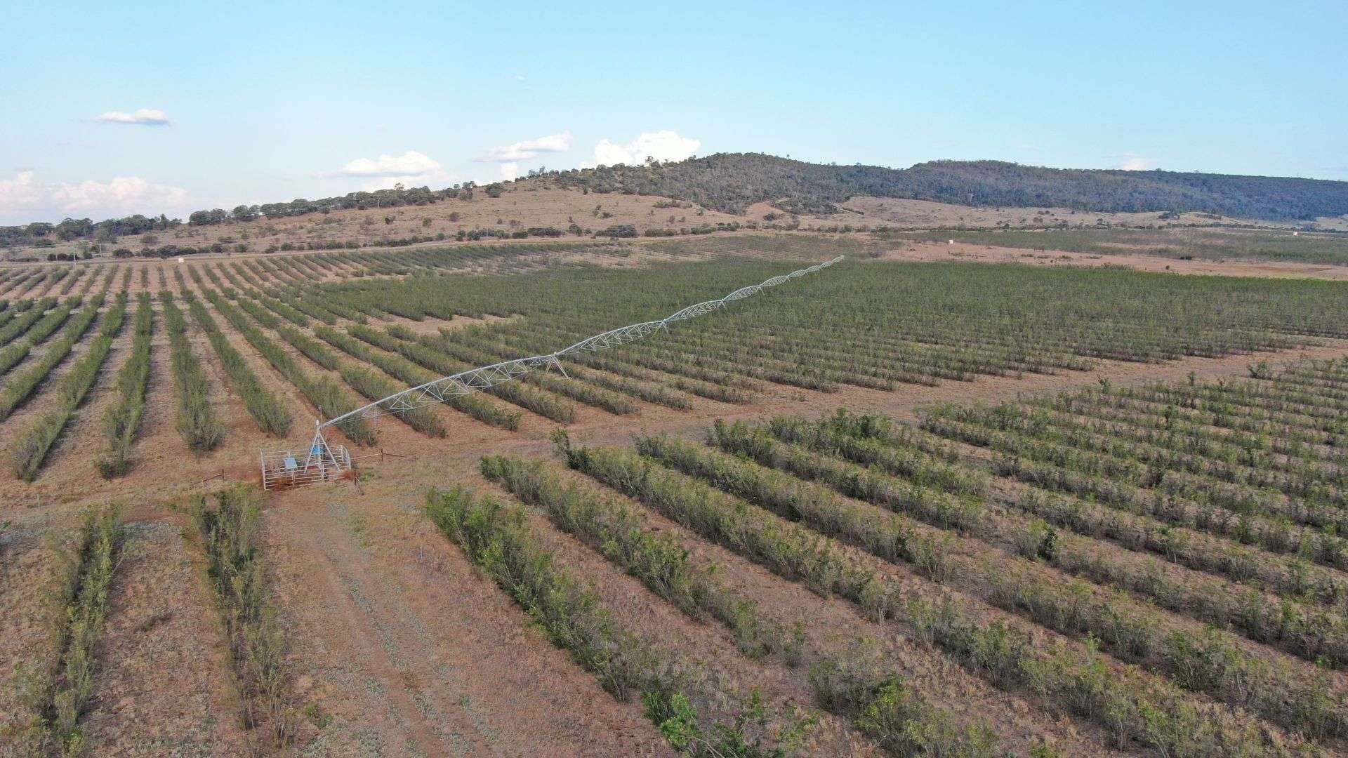 12605 Eidsvold Theodore Road, Camboon Auction by Farmbuy.com - image 2