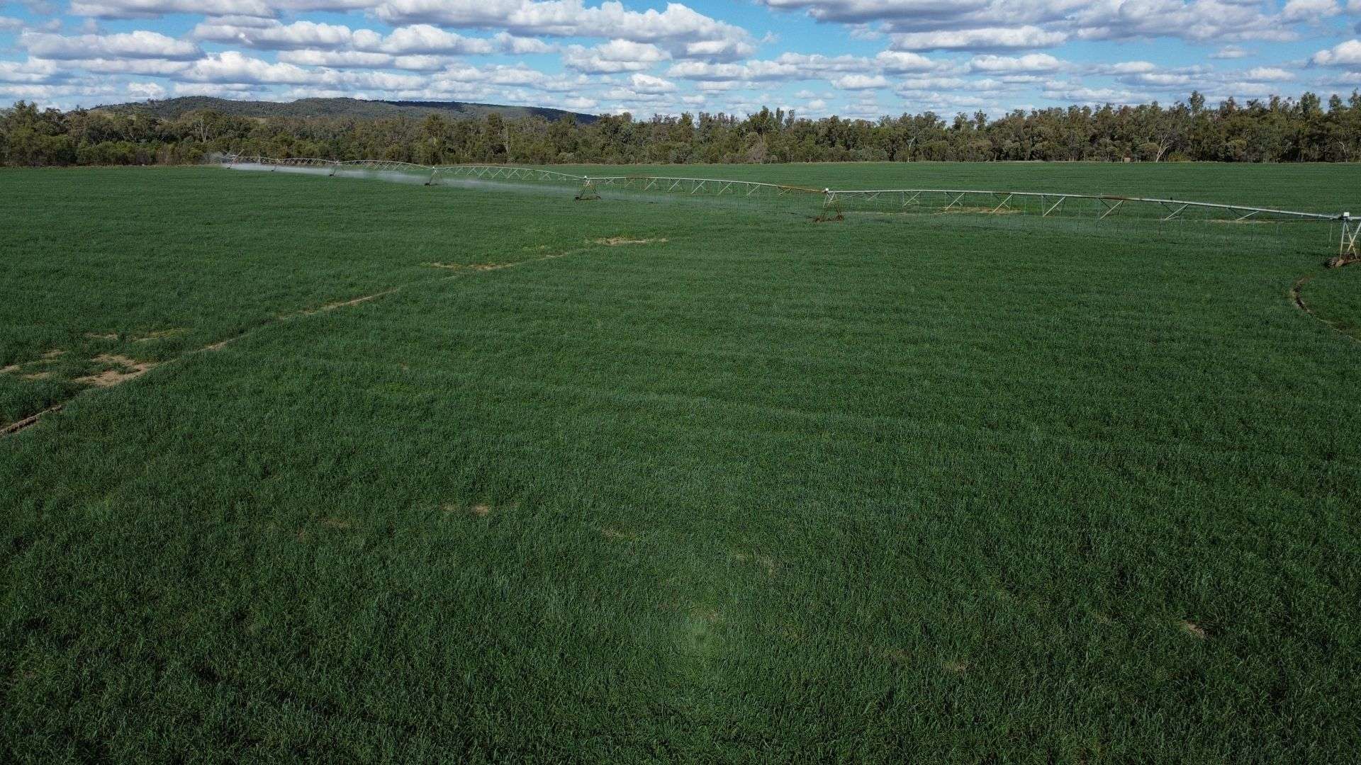 12605 Eidsvold Theodore Road, Camboon Auction by Farmbuy.com - image 14