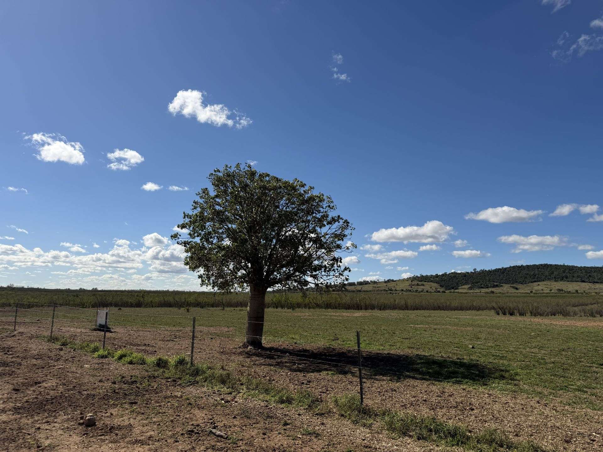 12605 Eidsvold Theodore Road, Camboon Auction by Farmbuy.com - image 17