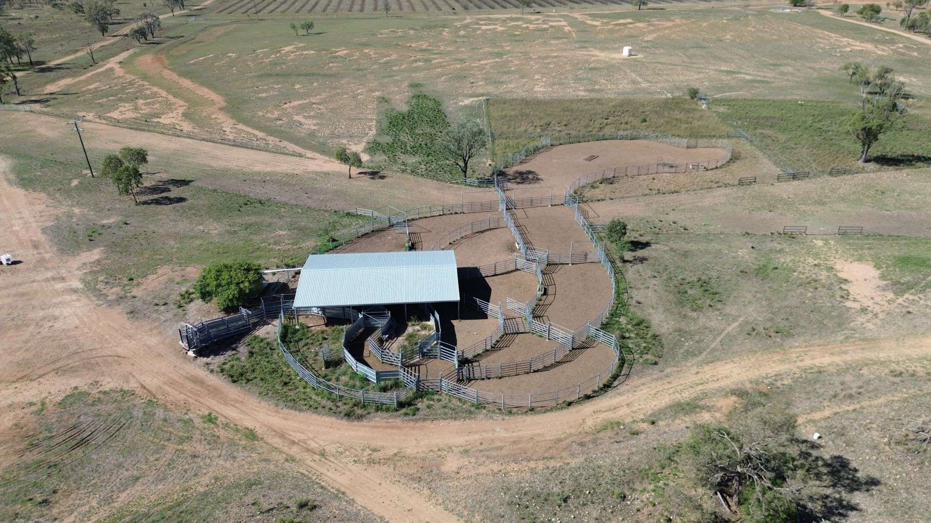 12605 Eidsvold Theodore Road, Camboon Auction by Farmbuy.com - image 9