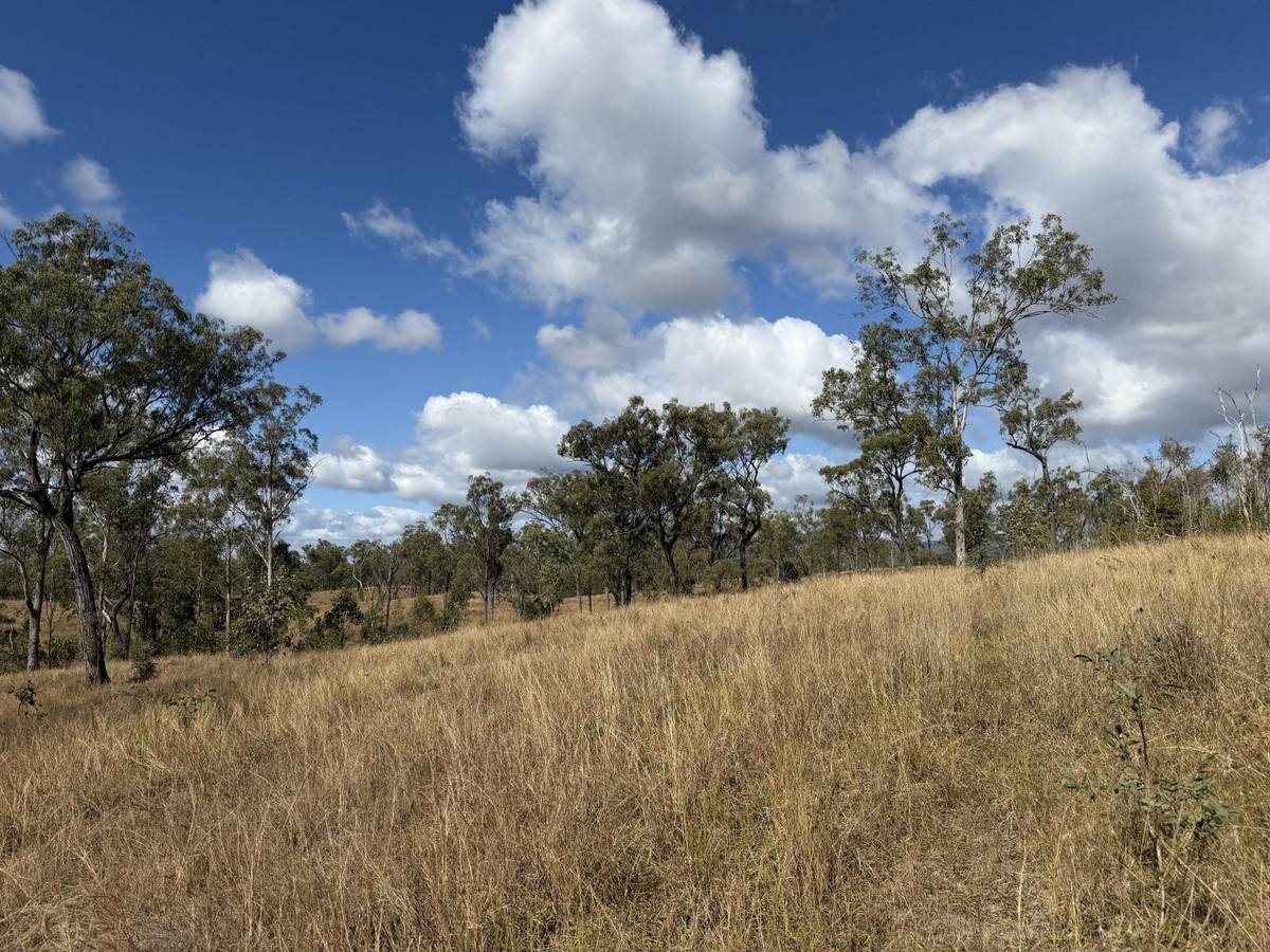 "Six Mile" Cedarvale Road, Boyne Valley For Sale by Farmbuy.com - image 19