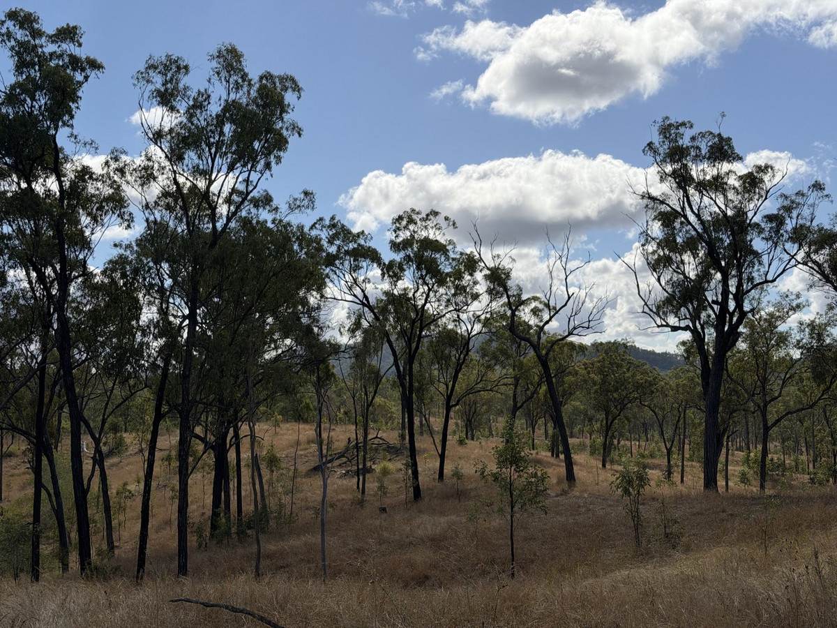 "Six Mile" Cedarvale Road, Boyne Valley For Sale by Farmbuy.com - image 20